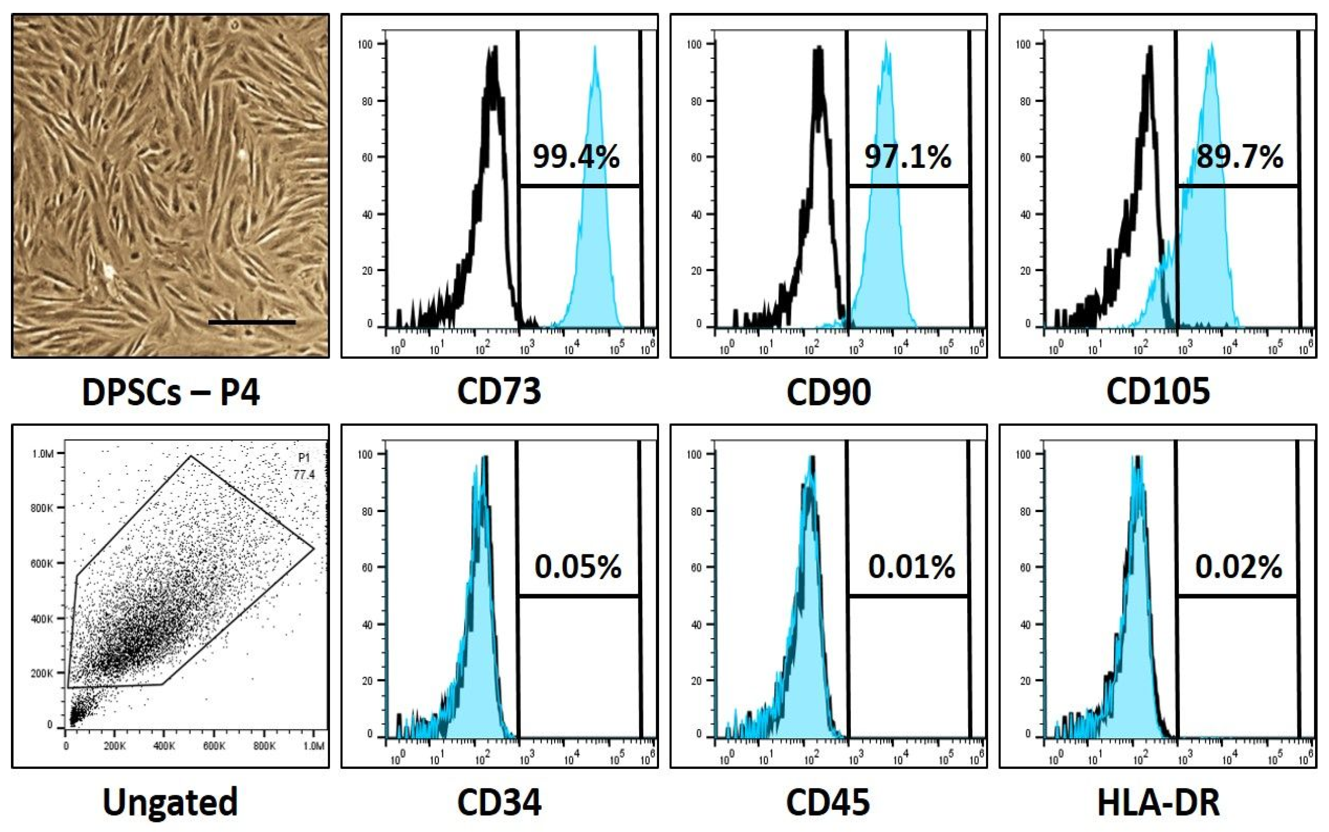 Jpm 12 01620 g001 Jpm 12 01620 g001