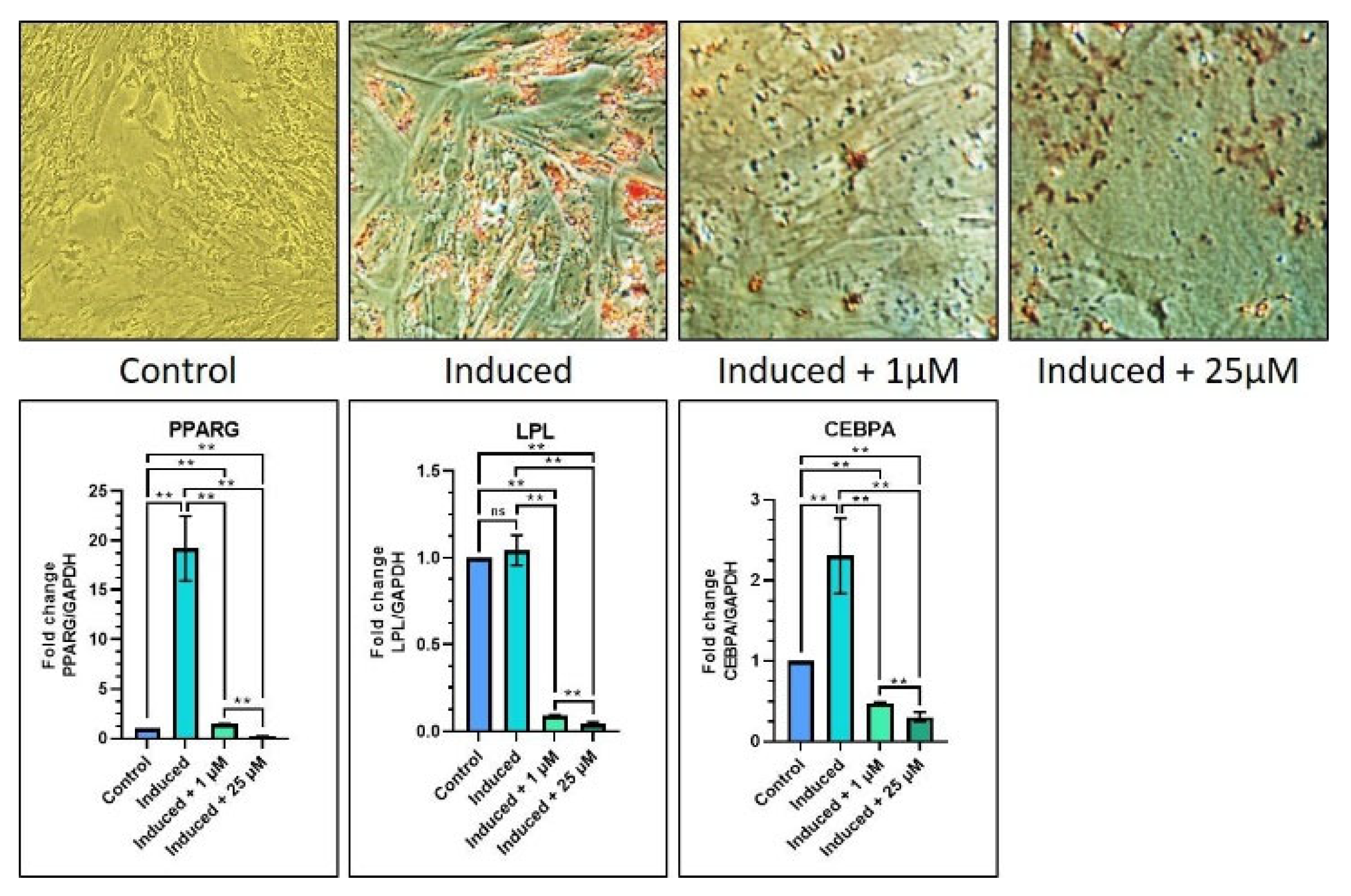 Jpm 12 01620 g003 Jpm 12 01620 g003