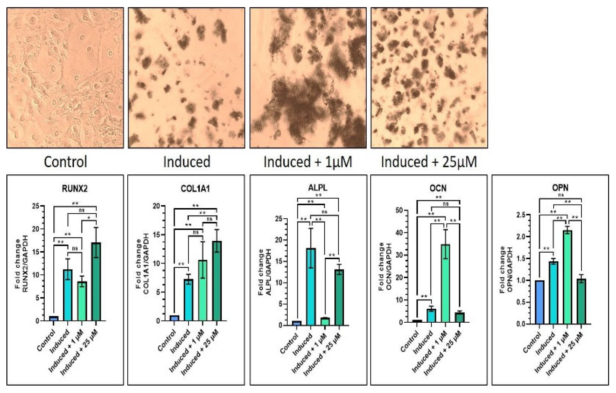 Jpm 12 01620 g004 Jpm 12 01620 g004