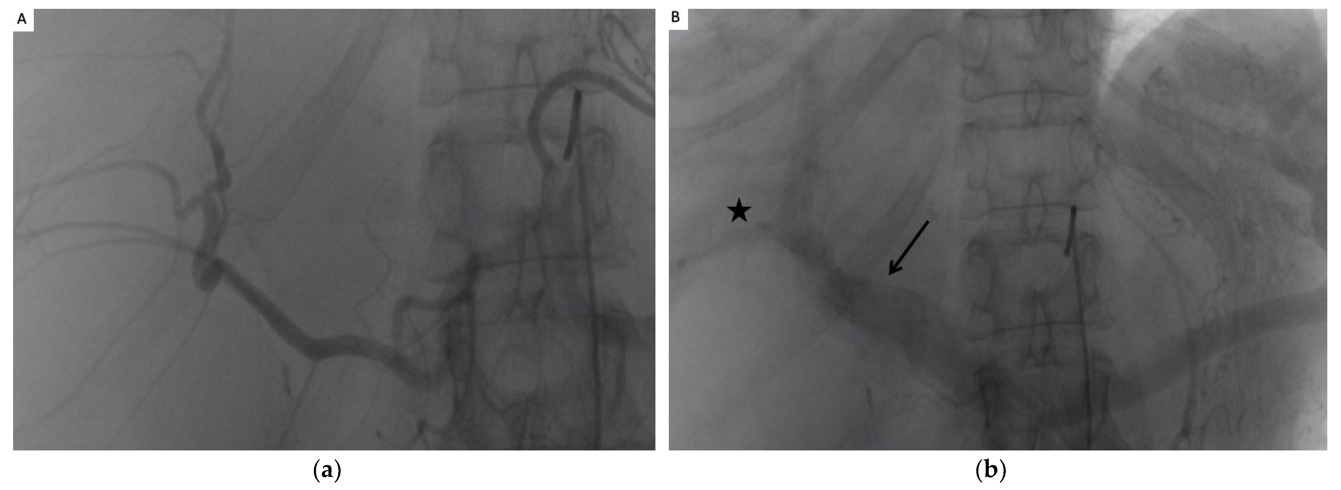 Jpm 12 01624 g001a Jpm 12 01624 g001a