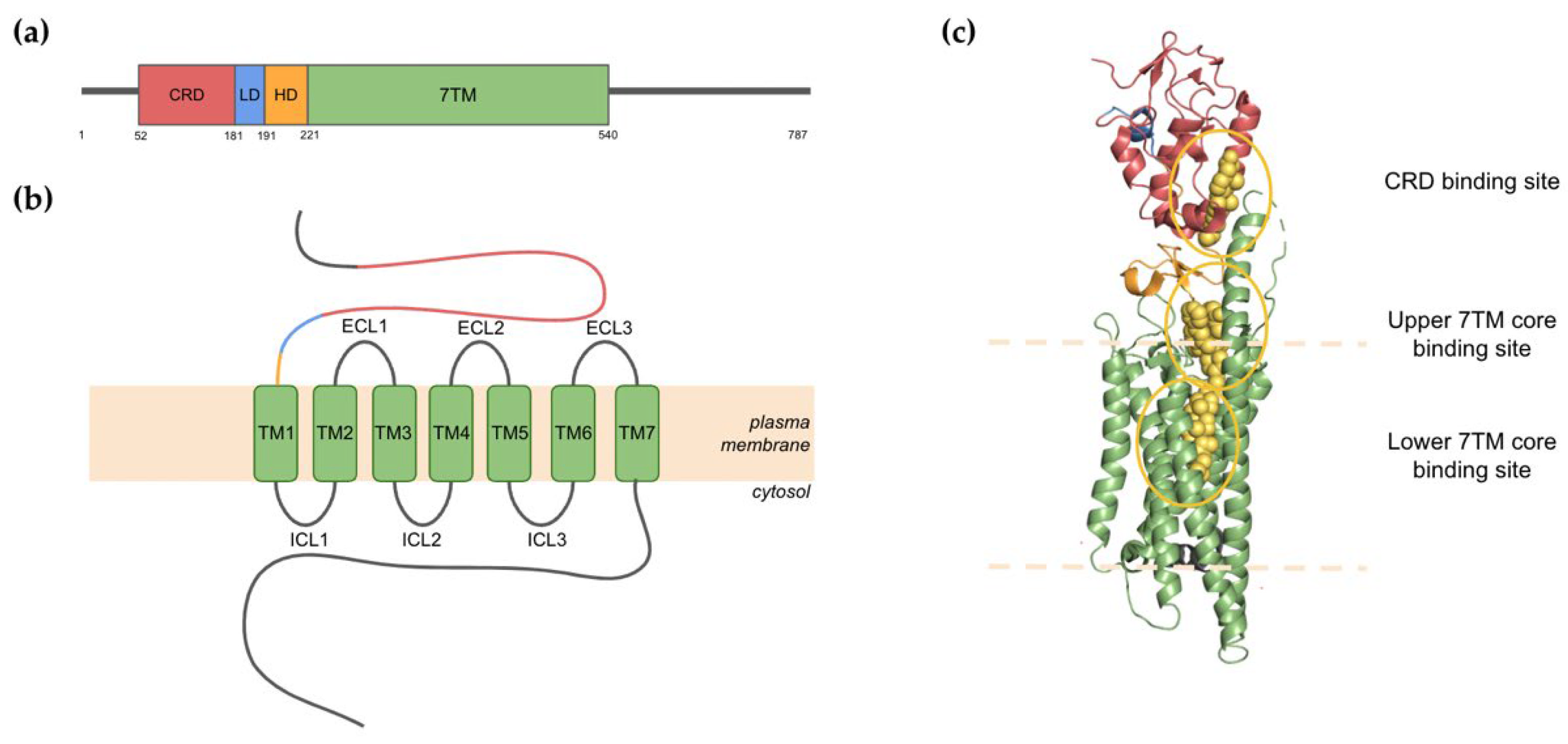 Jpm 12 01648 g001 Jpm 12 01648 g001
