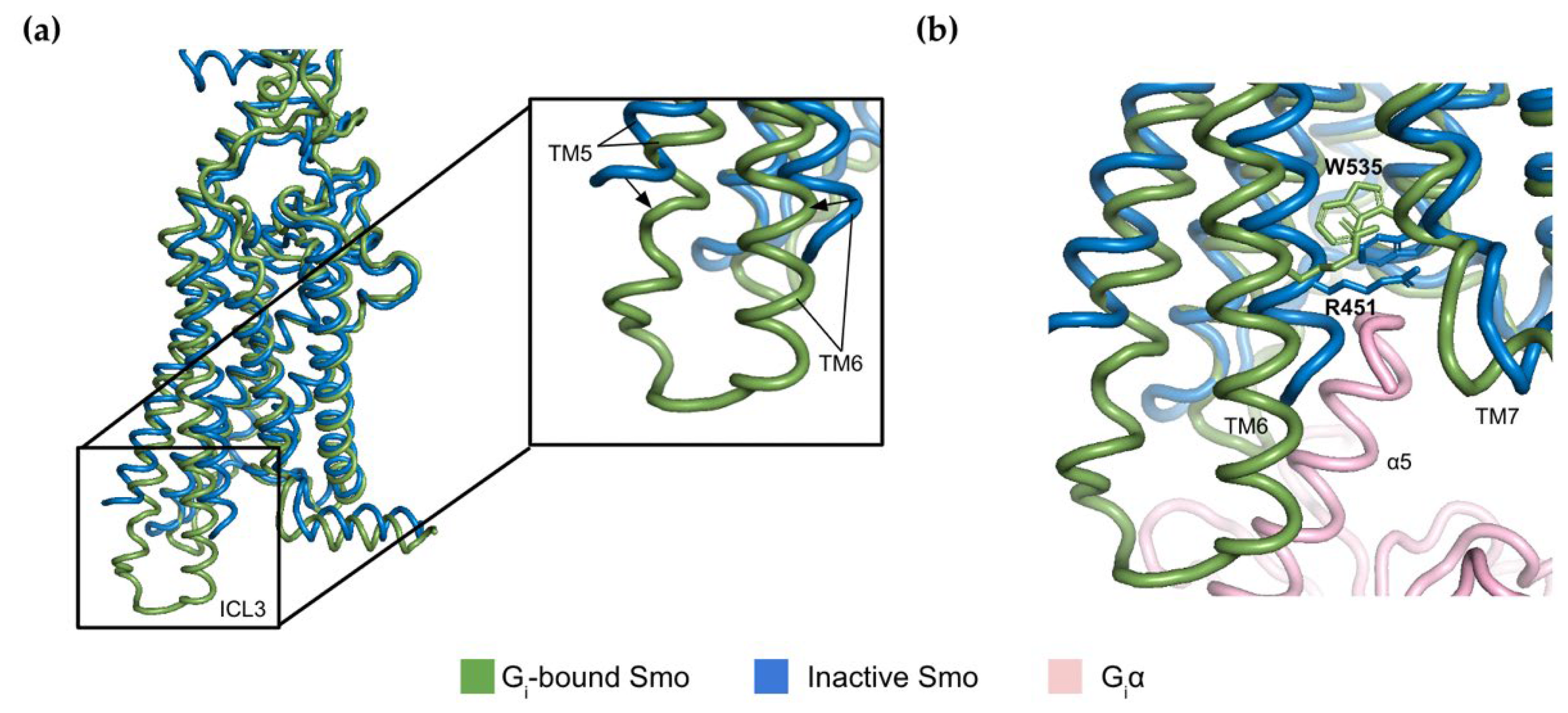 Jpm 12 01648 g002 Jpm 12 01648 g002