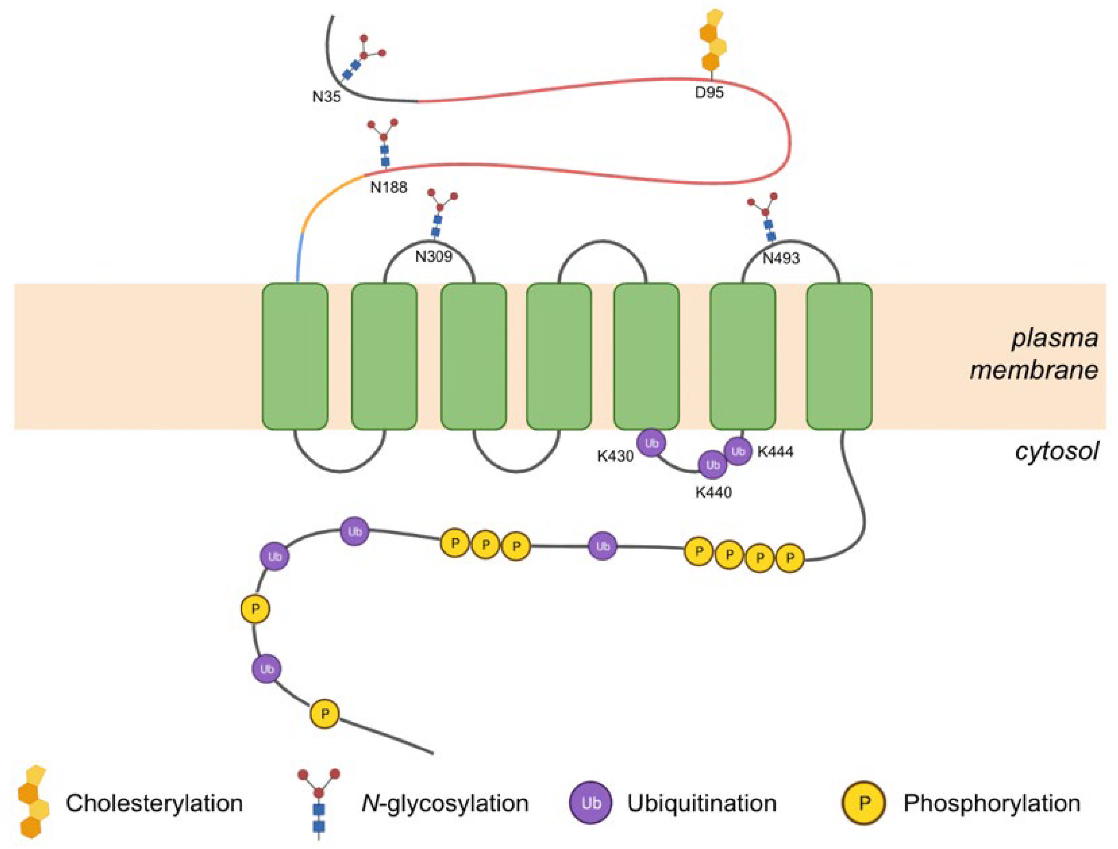Jpm 12 01648 g004 Jpm 12 01648 g004