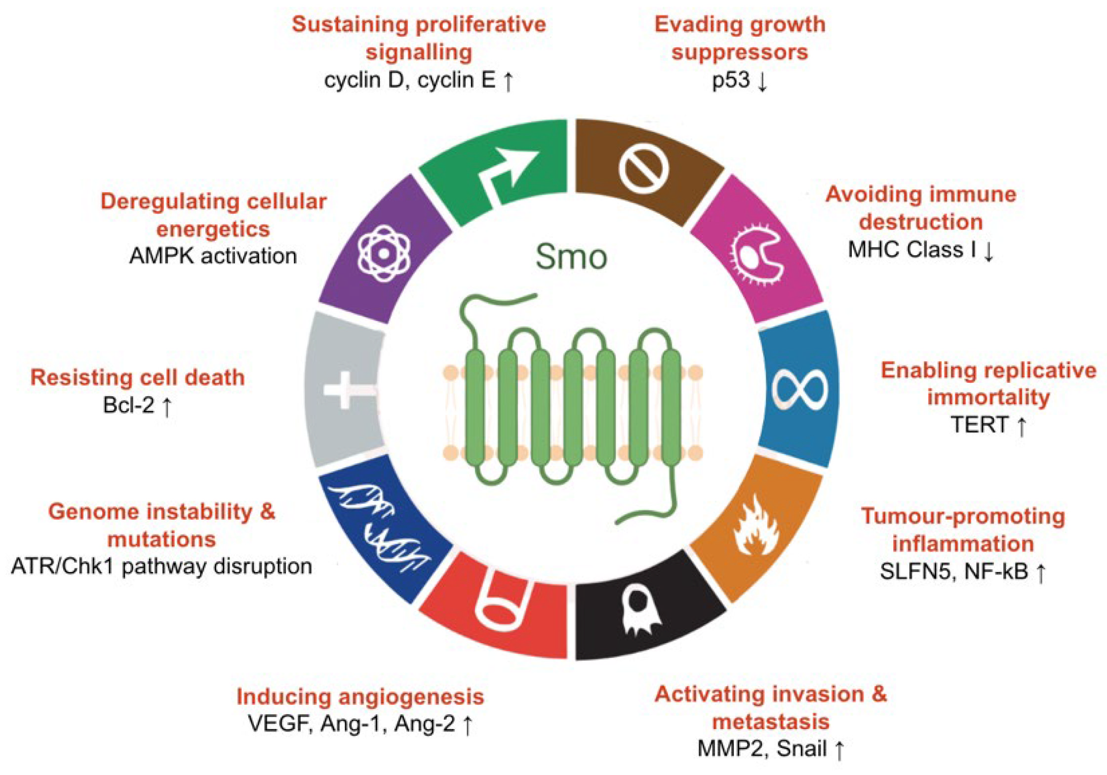 Jpm 12 01648 g005 Jpm 12 01648 g005