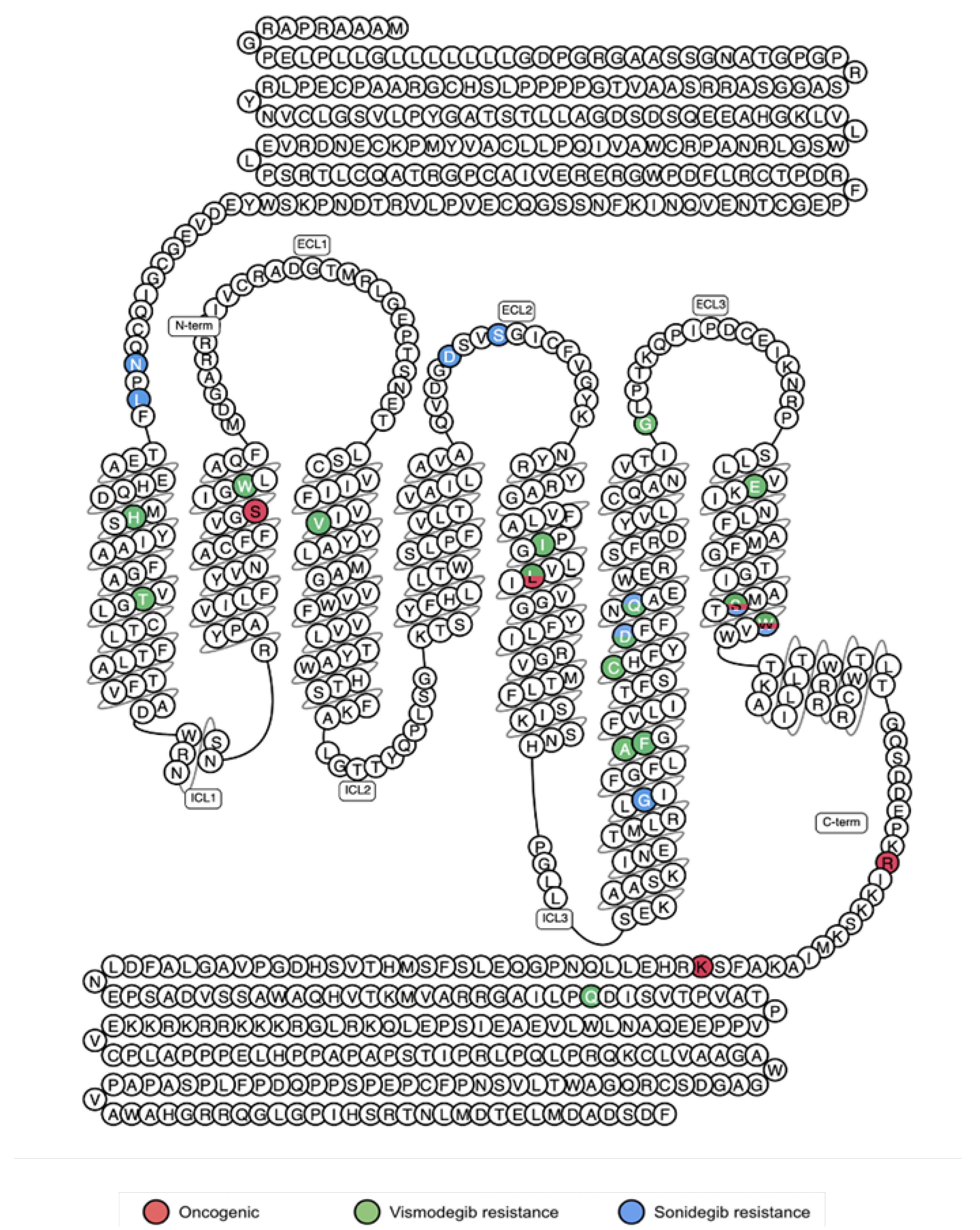Jpm 12 01648 g008 Jpm 12 01648 g008