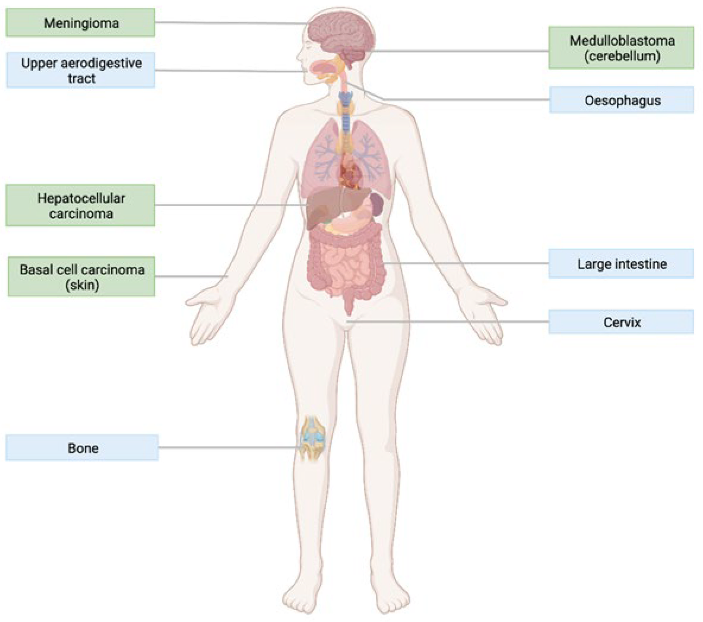 Jpm 12 01648 g009 Jpm 12 01648 g009