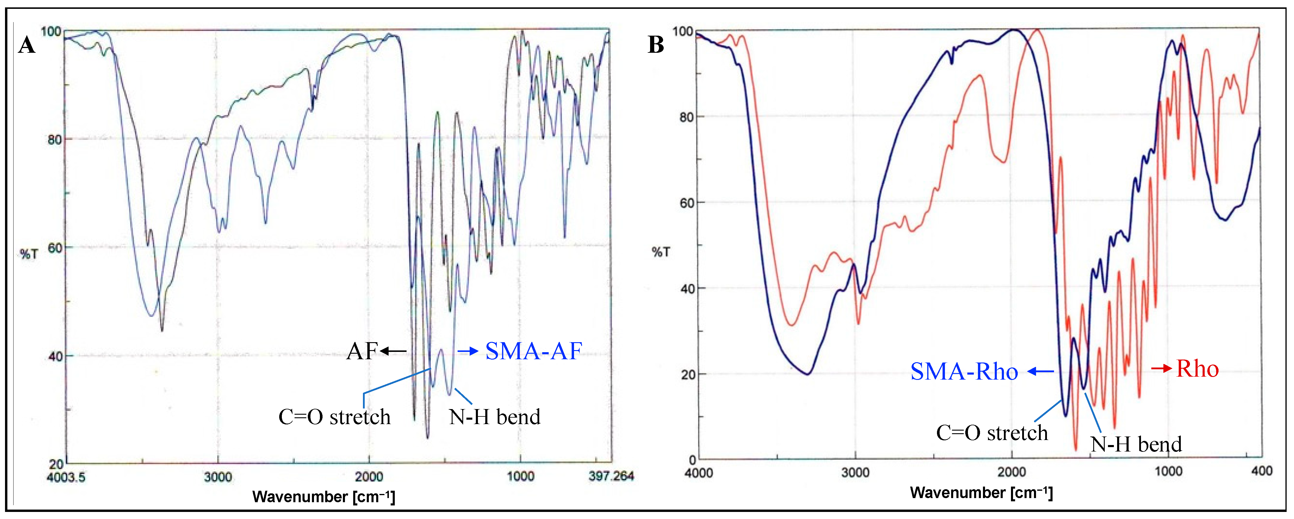 Jpm 12 01650 g003 Jpm 12 01650 g003