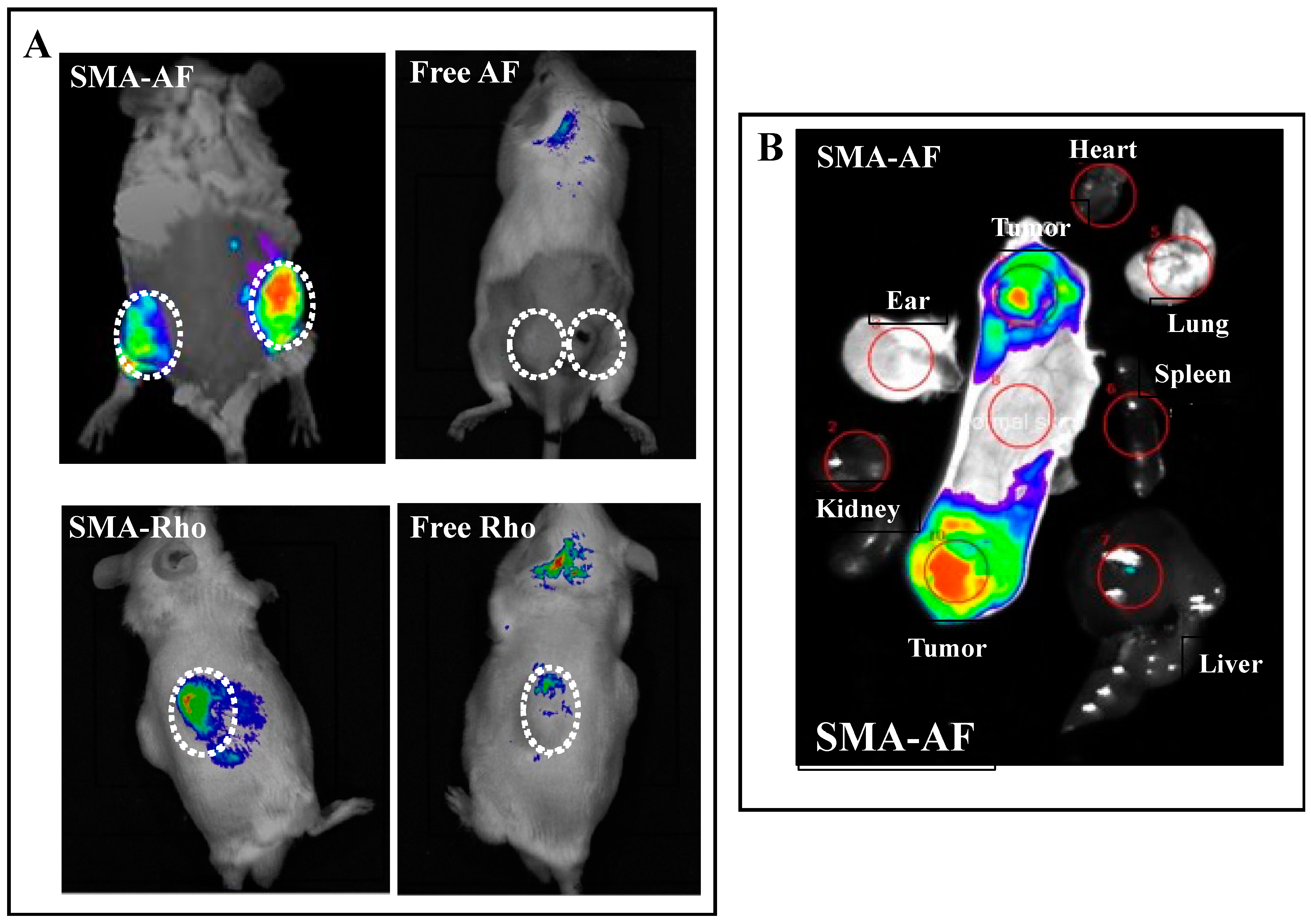 Jpm 12 01650 g004 Jpm 12 01650 g004