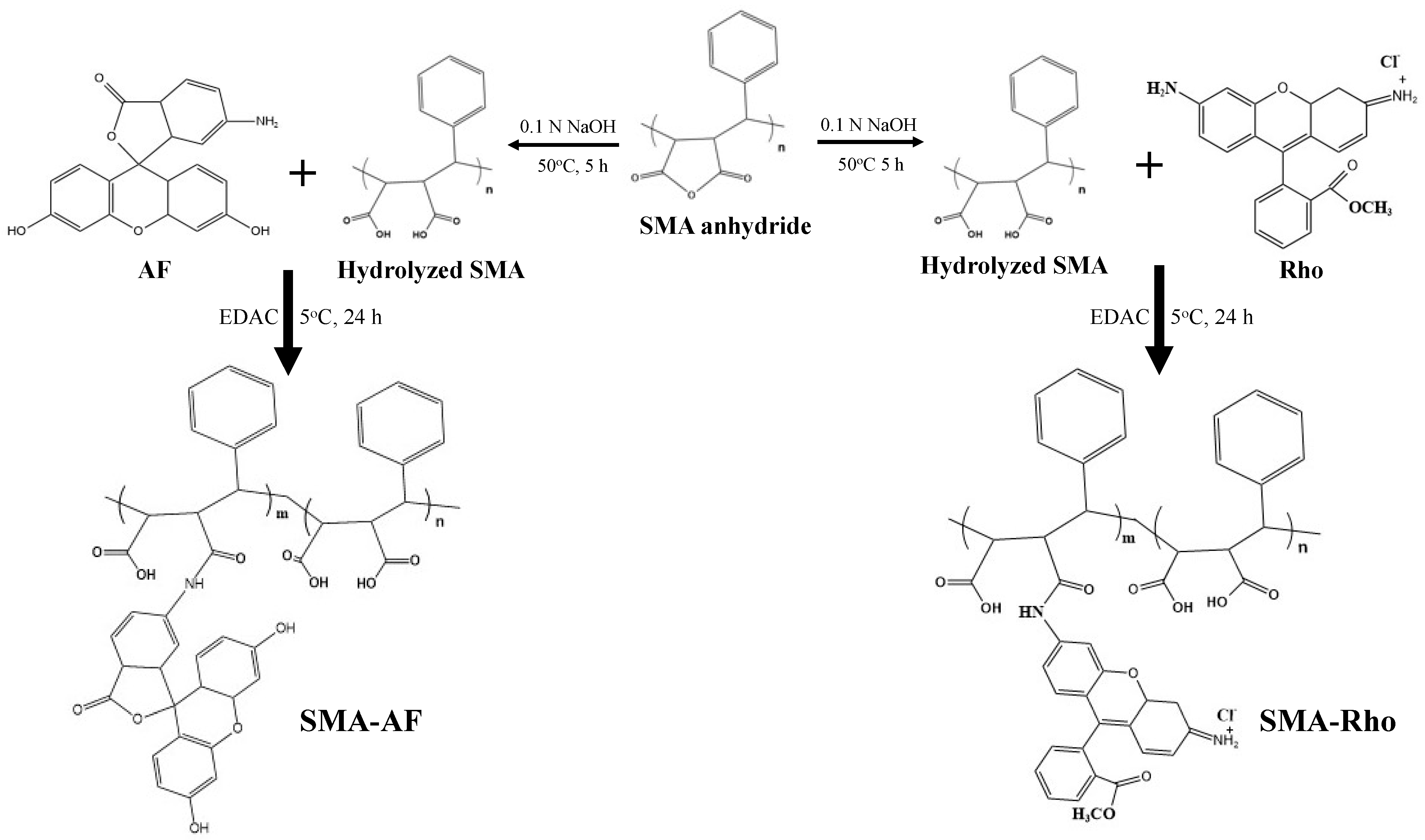 Jpm 12 01650 sch001 Jpm 12 01650 sch001