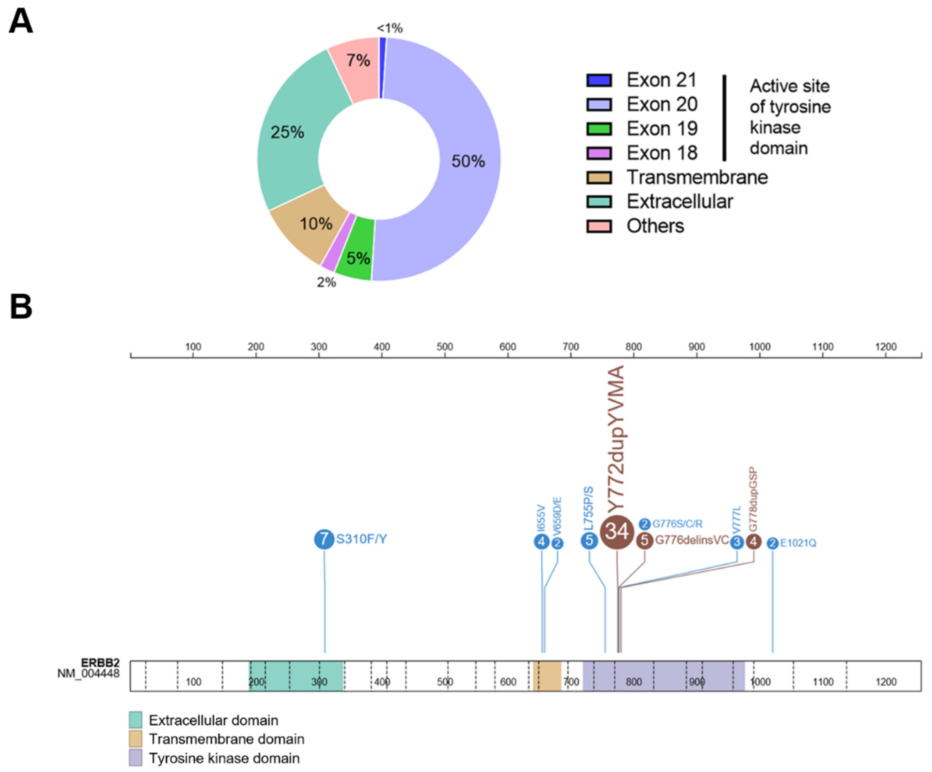 Jpm 12 01651 g002 Jpm 12 01651 g002