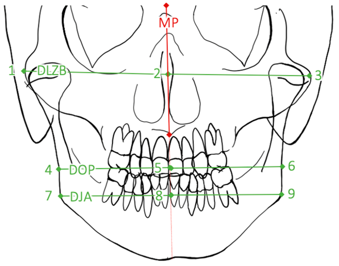 Jpm 12 01653 g008 Jpm 12 01653 g008