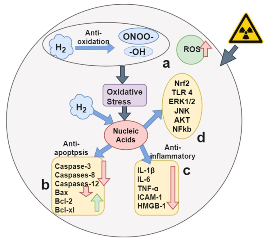 Jpm 12 01659 g002 Jpm 12 01659 g002