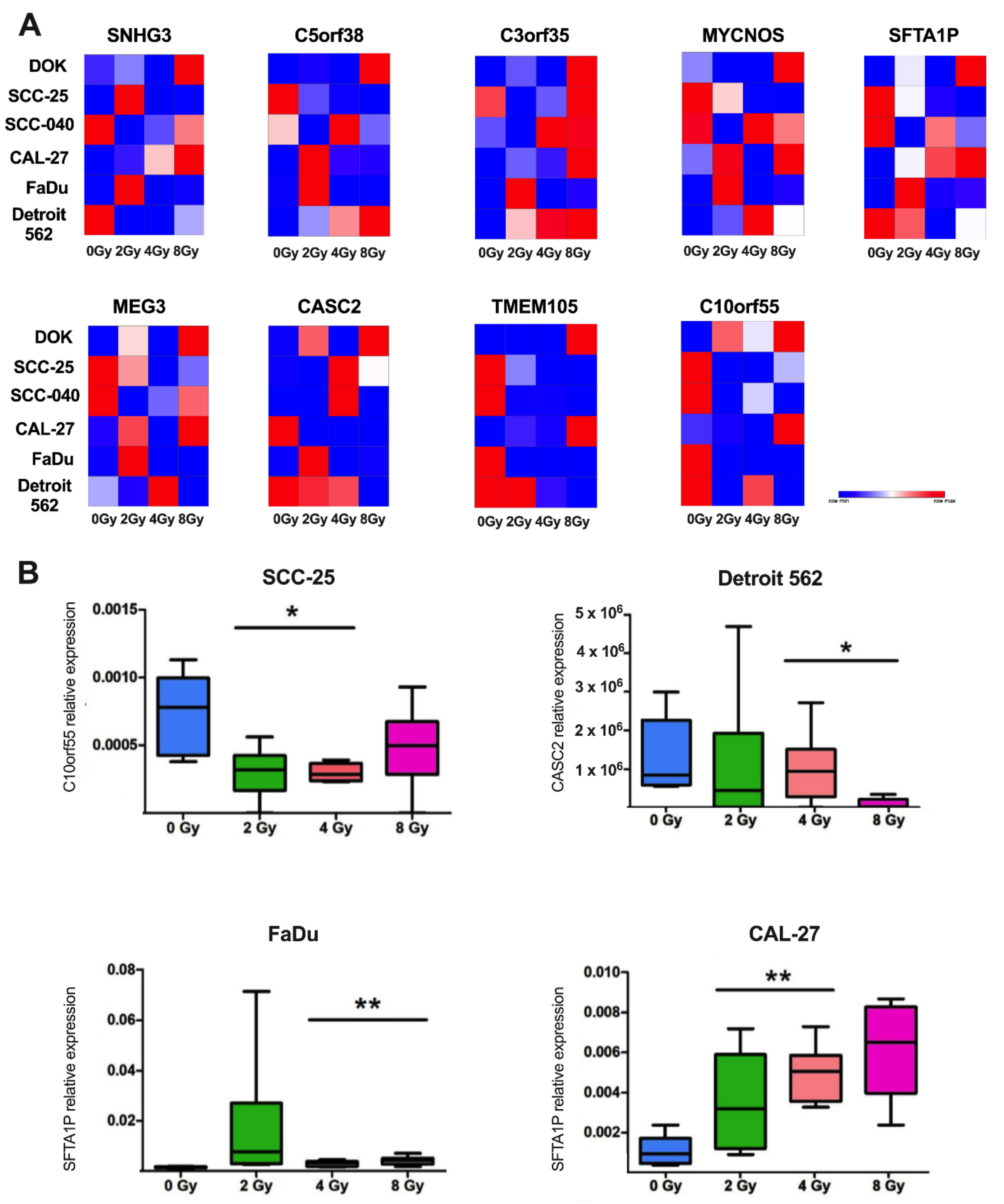 C10orf55, CASC2, and SFTA1P lncRNAs Are Potential Biomarkers
