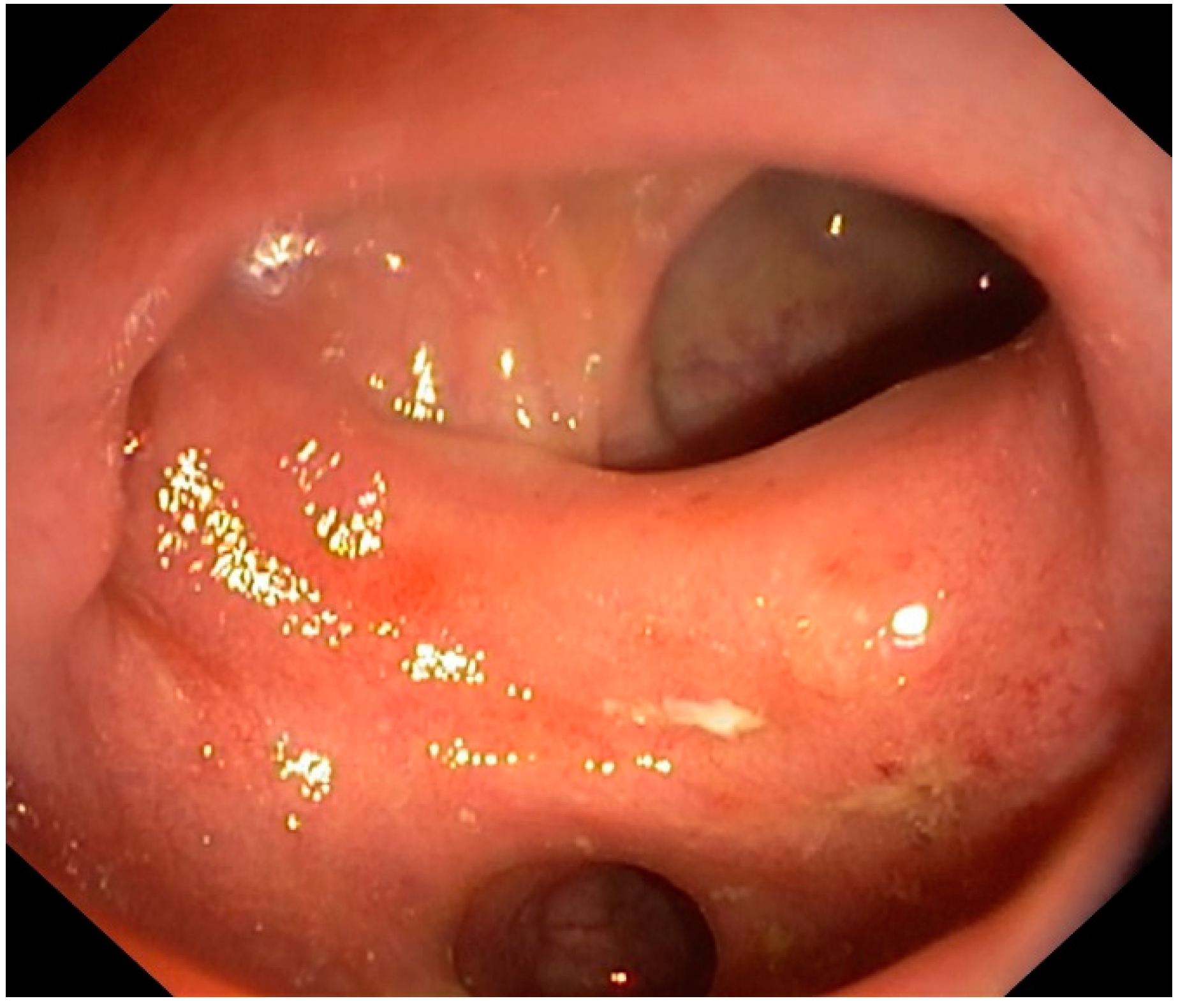 Jpm 12 01713 g001 Jpm 12 01713 g001