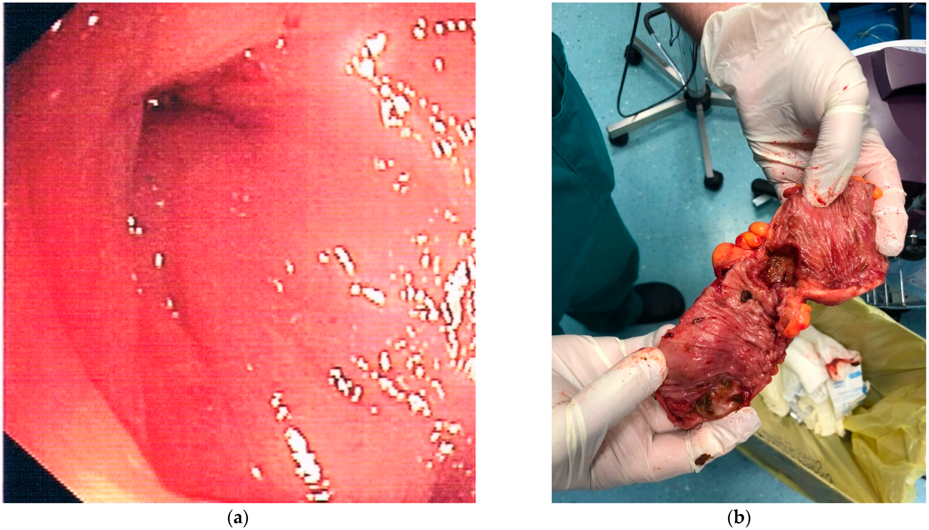 Jpm 12 01713 g002 Jpm 12 01713 g002