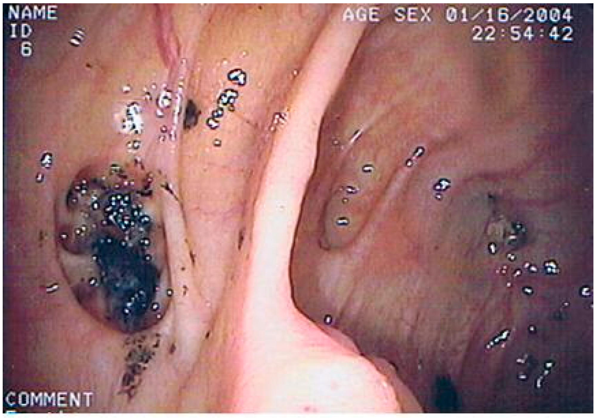 Jpm 12 01713 g005 Jpm 12 01713 g005