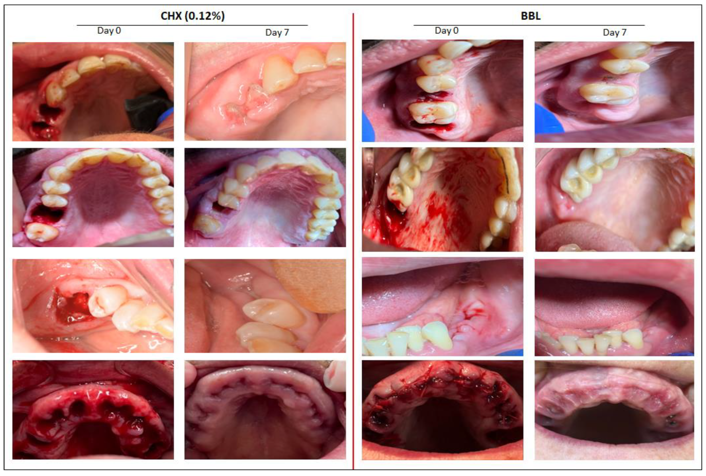 Jpm 12 01725 g002 Jpm 12 01725 g002