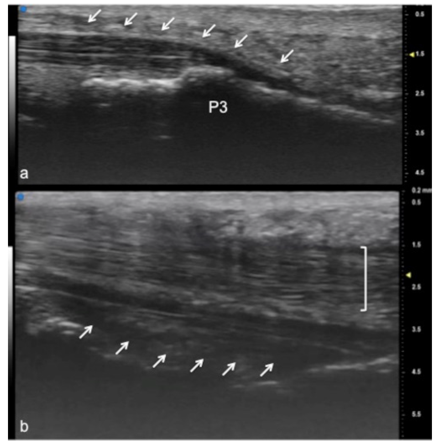 Jpm 12 01733 g003 Jpm 12 01733 g003