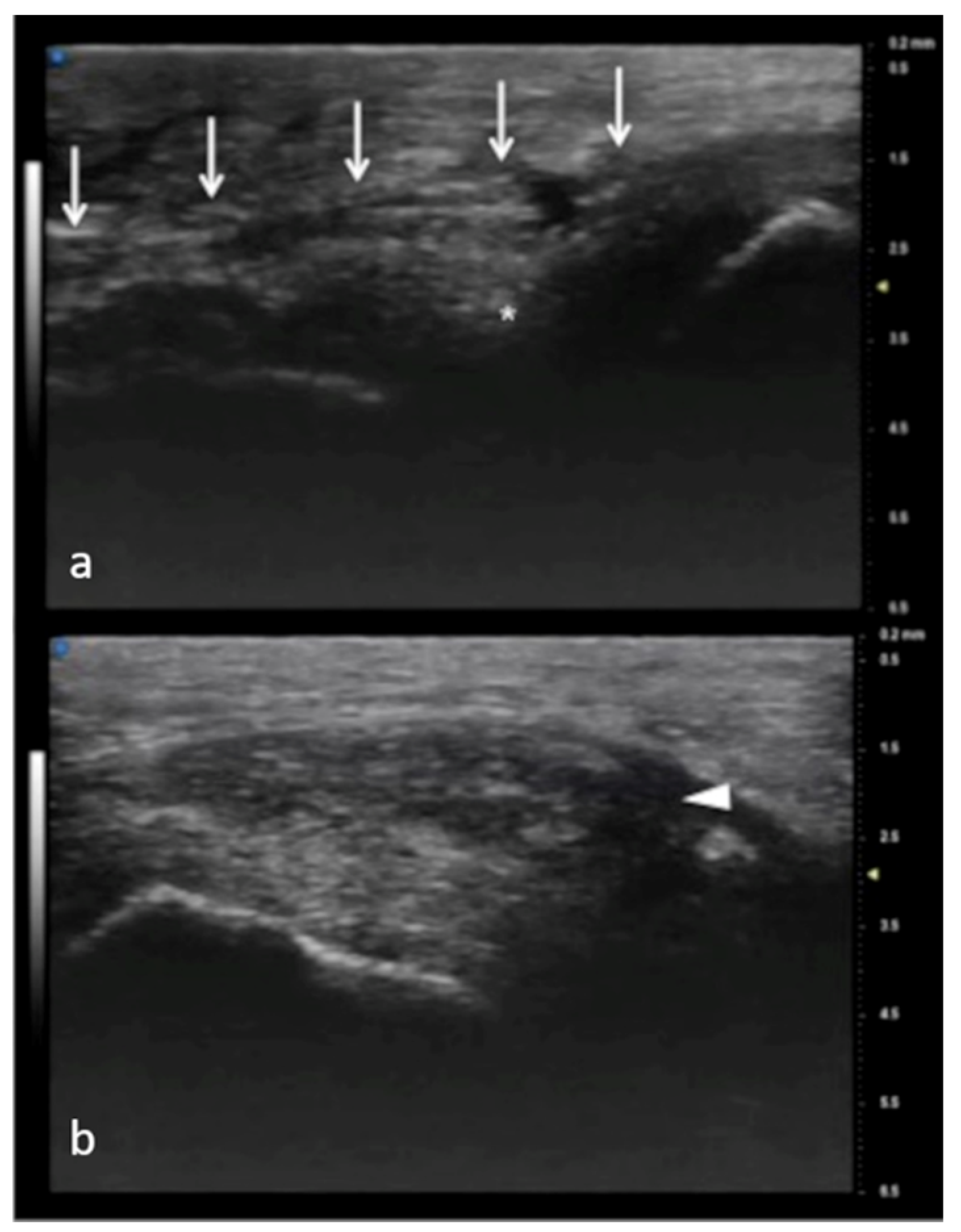Jpm 12 01733 g007 Jpm 12 01733 g007
