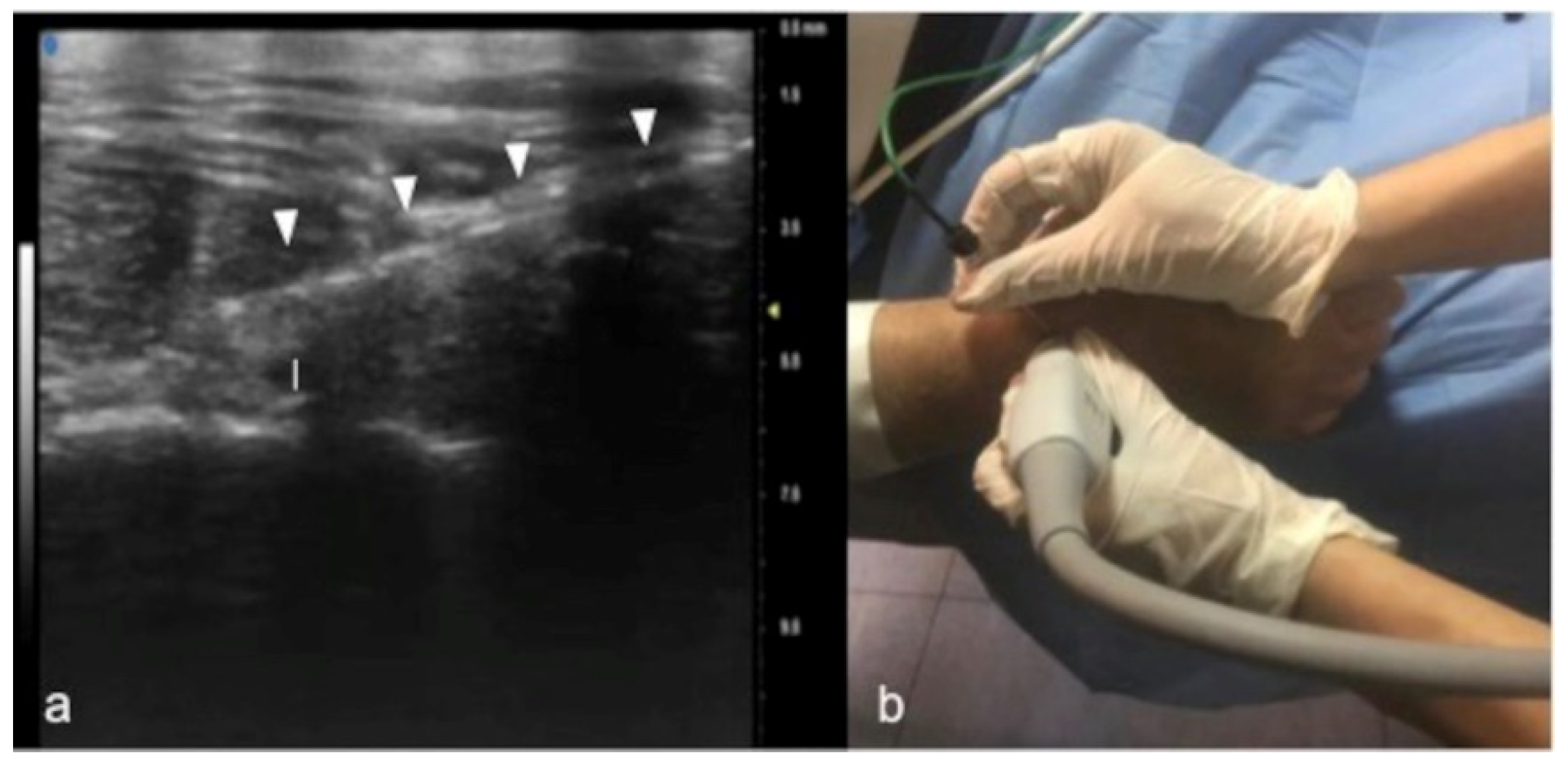 Jpm 12 01733 g010 Jpm 12 01733 g010
