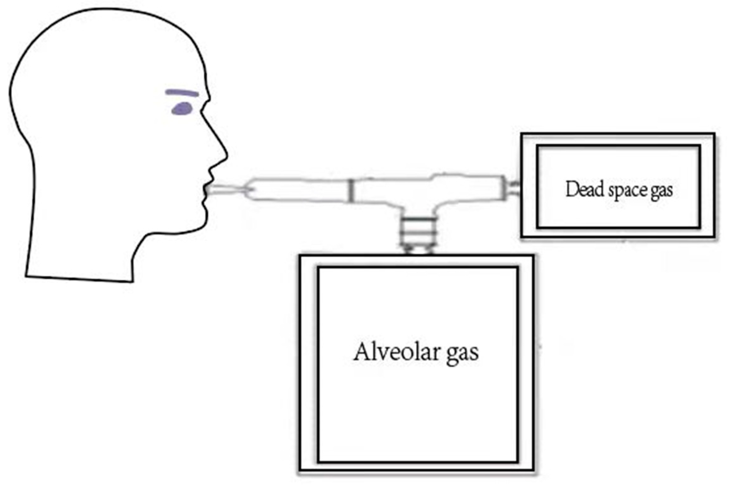 Jpm 12 01738 g001 Jpm 12 01738 g001
