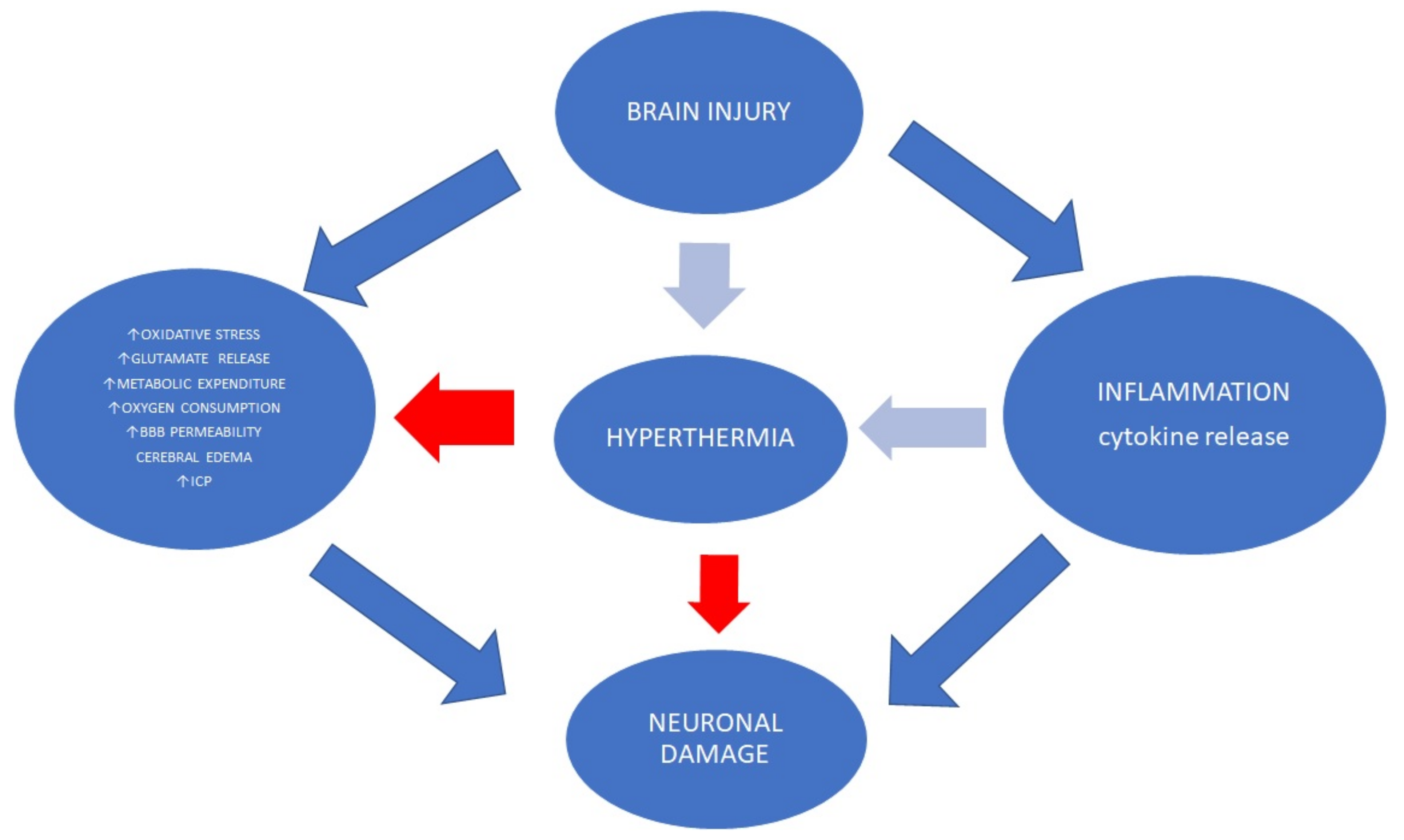 Jpm 12 01763 g002 Jpm 12 01763 g002