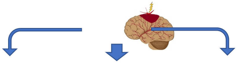 Jpm 12 01763 i001 Jpm 12 01763 i001