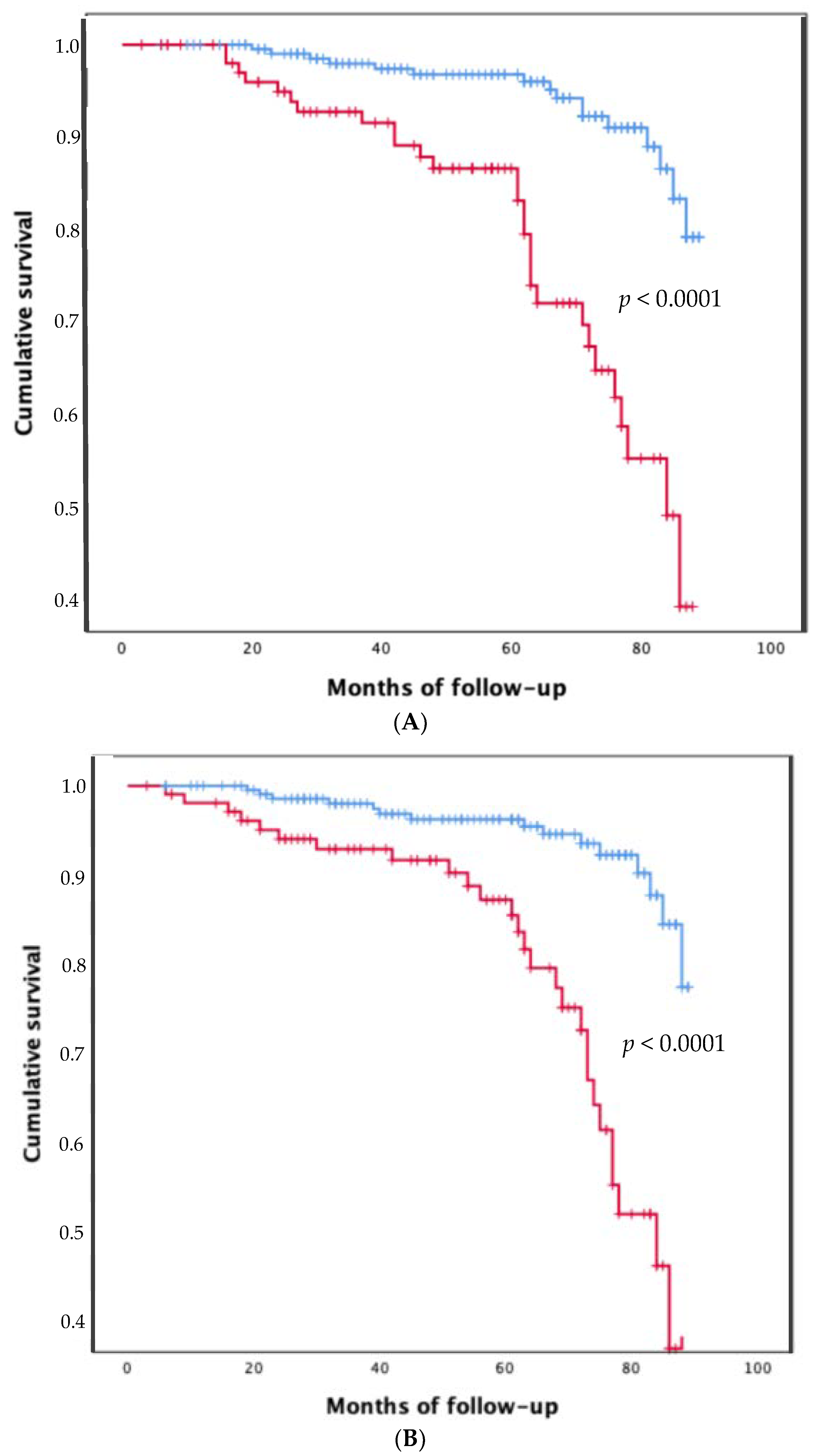 Jpm 12 01794 g003 Jpm 12 01794 g003