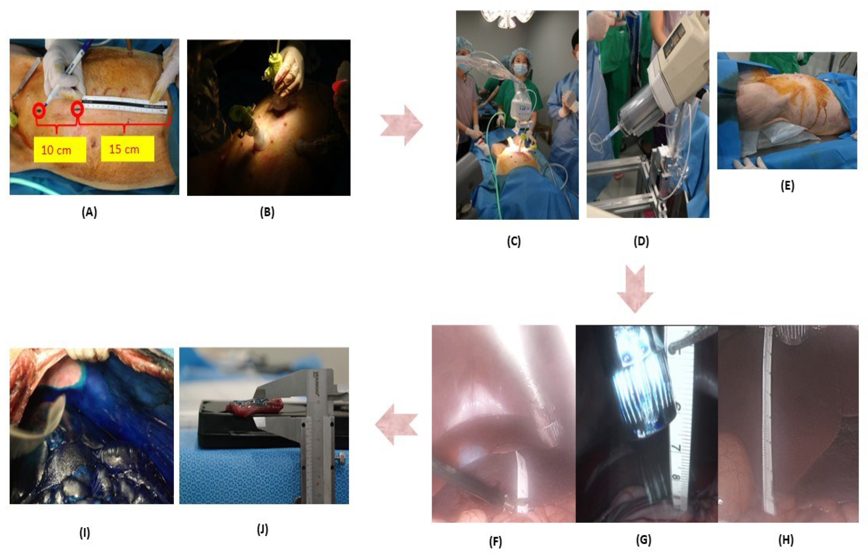 Jpm 12 01799 g001 Jpm 12 01799 g001