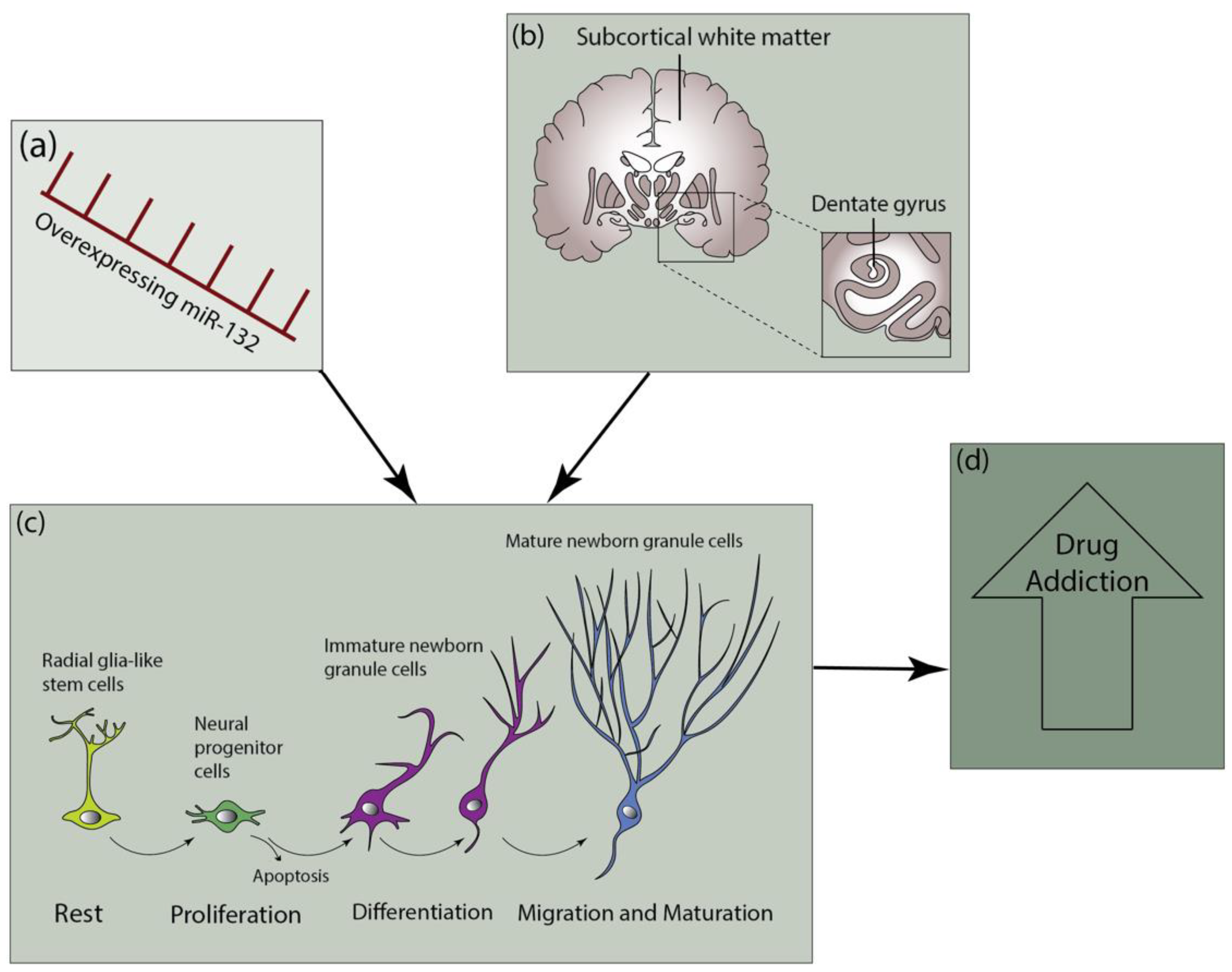 Jpm 12 01800 g001 Jpm 12 01800 g001