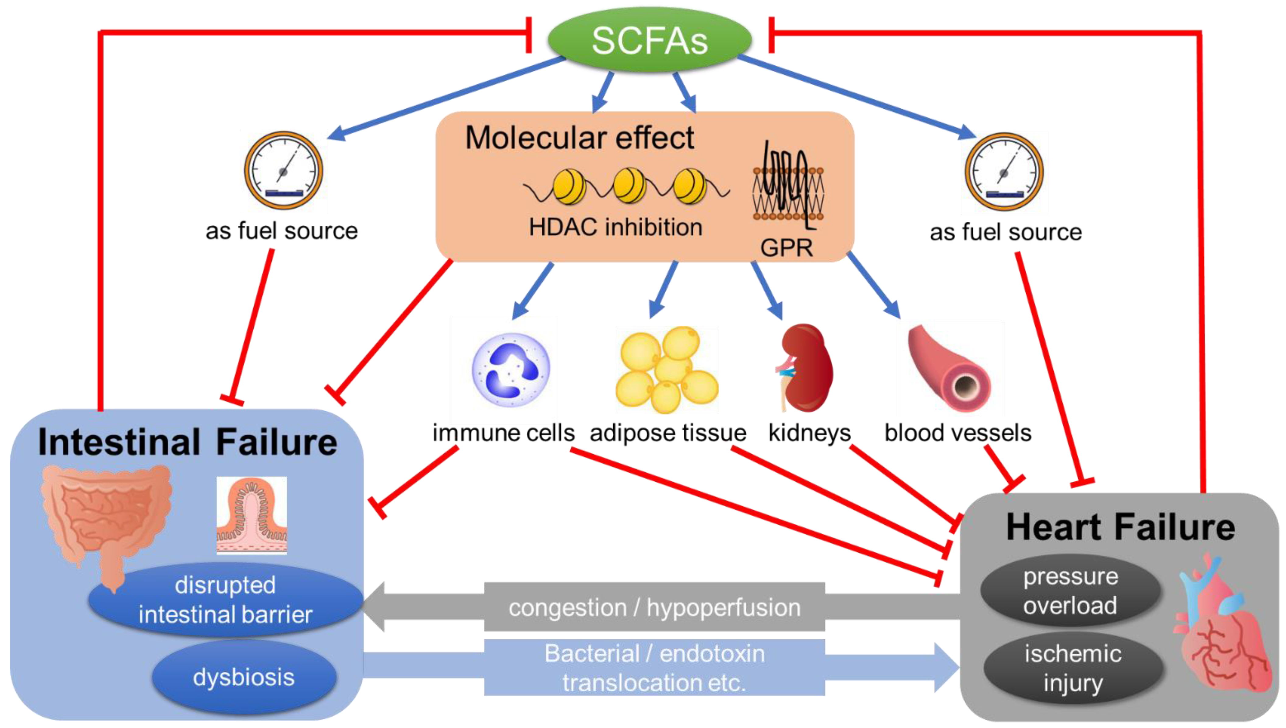 Jpm 12 01805 g001 Jpm 12 01805 g001
