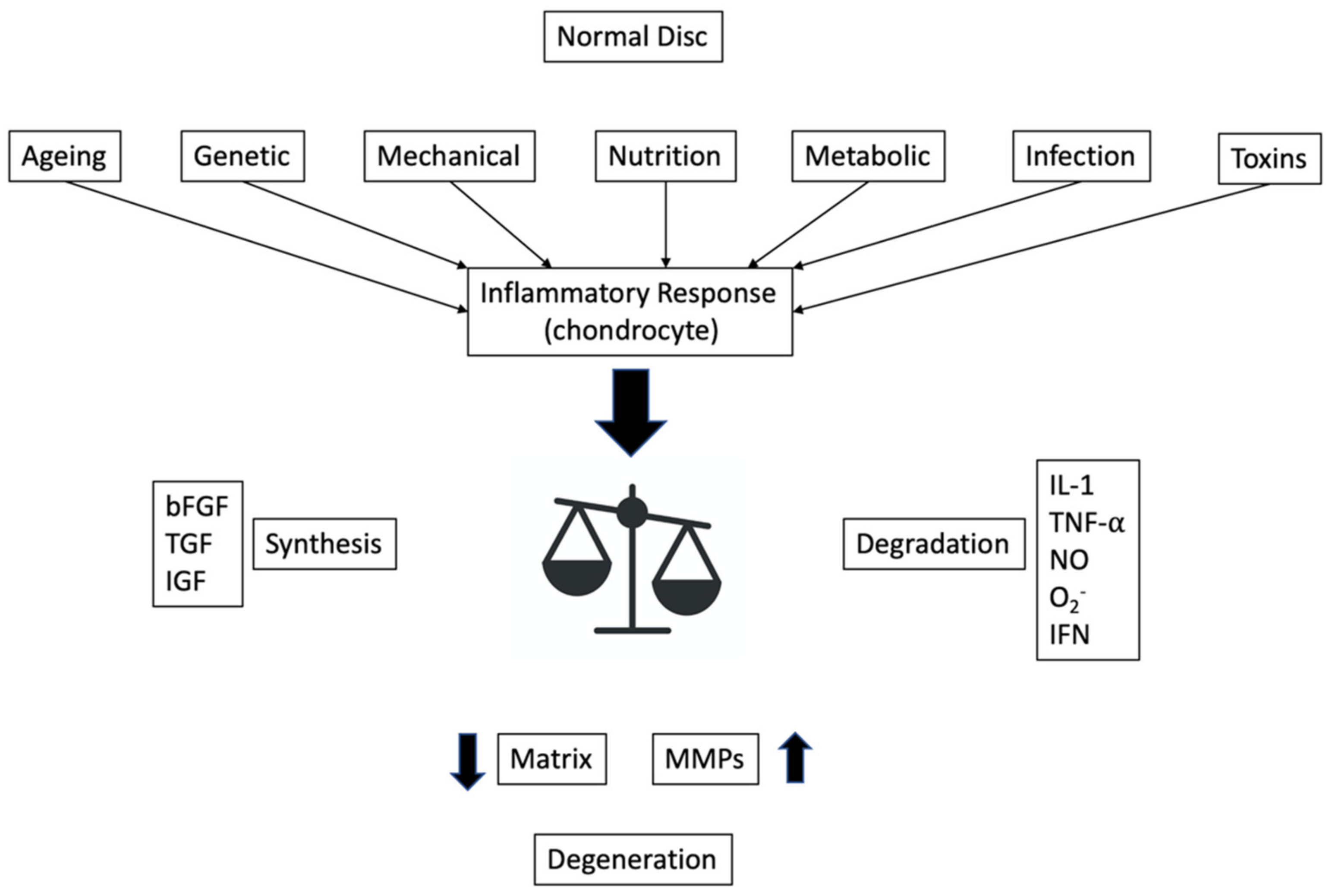 jpm-free-full-text-degenerative-disc-disease-of-the-spine-from