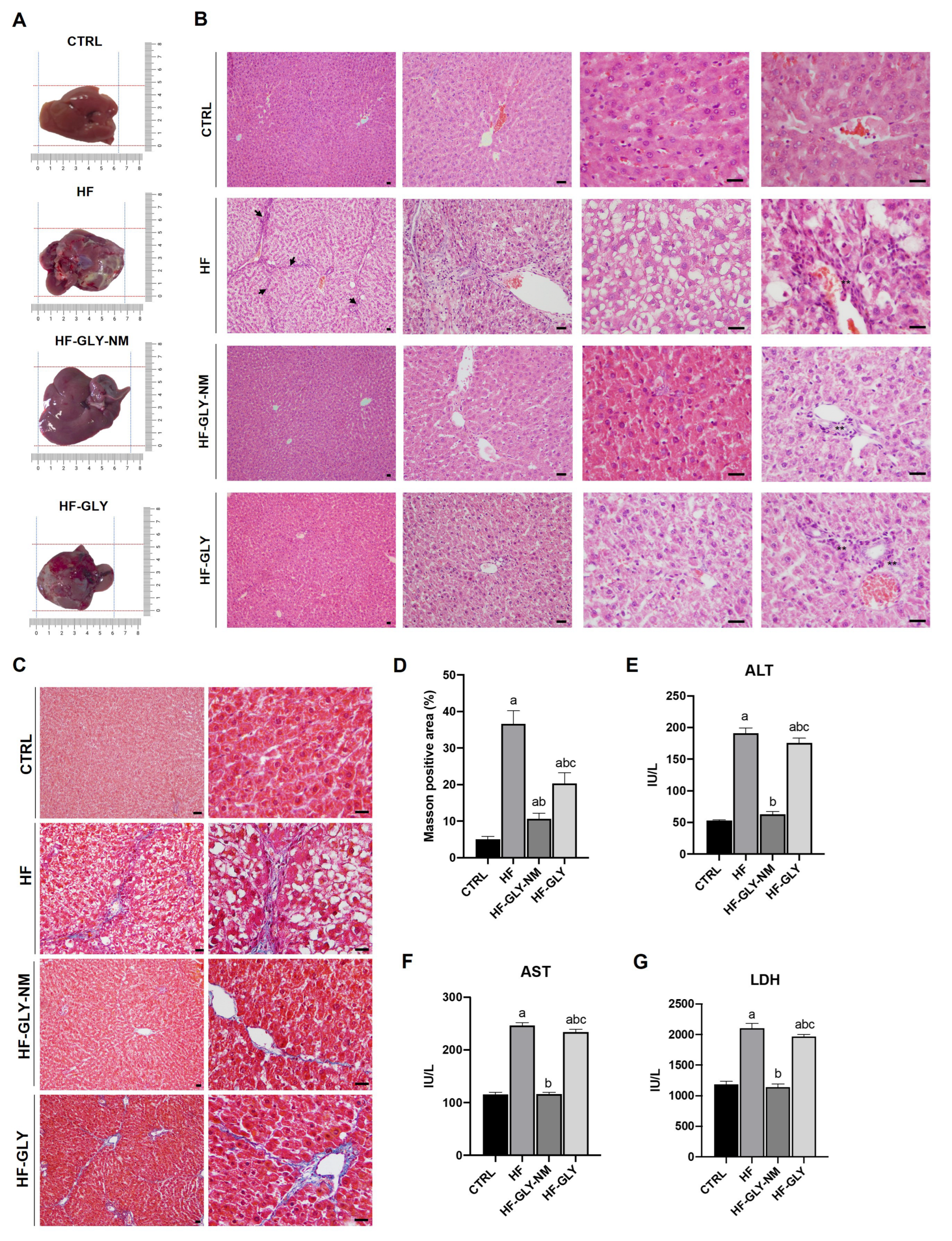 Jpm 12 01812 g002 Jpm 12 01812 g002