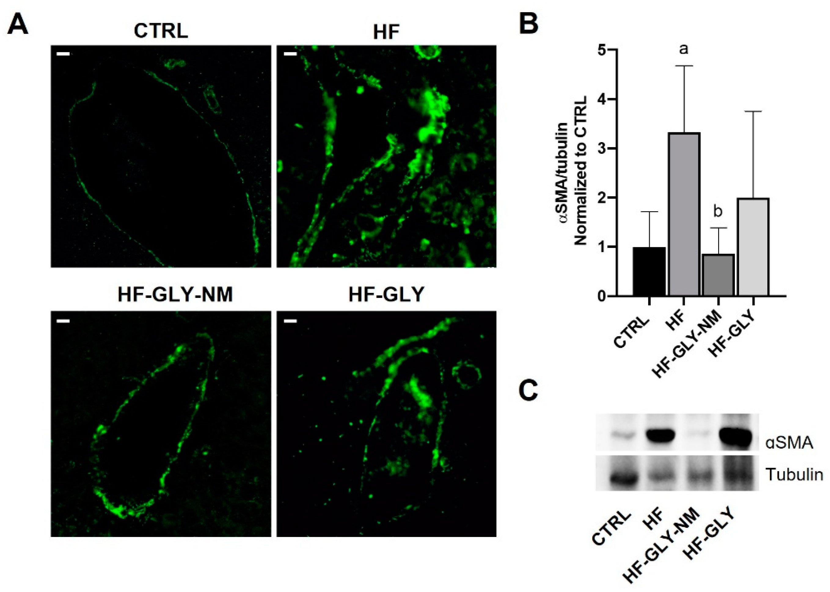 Jpm 12 01812 g003 Jpm 12 01812 g003