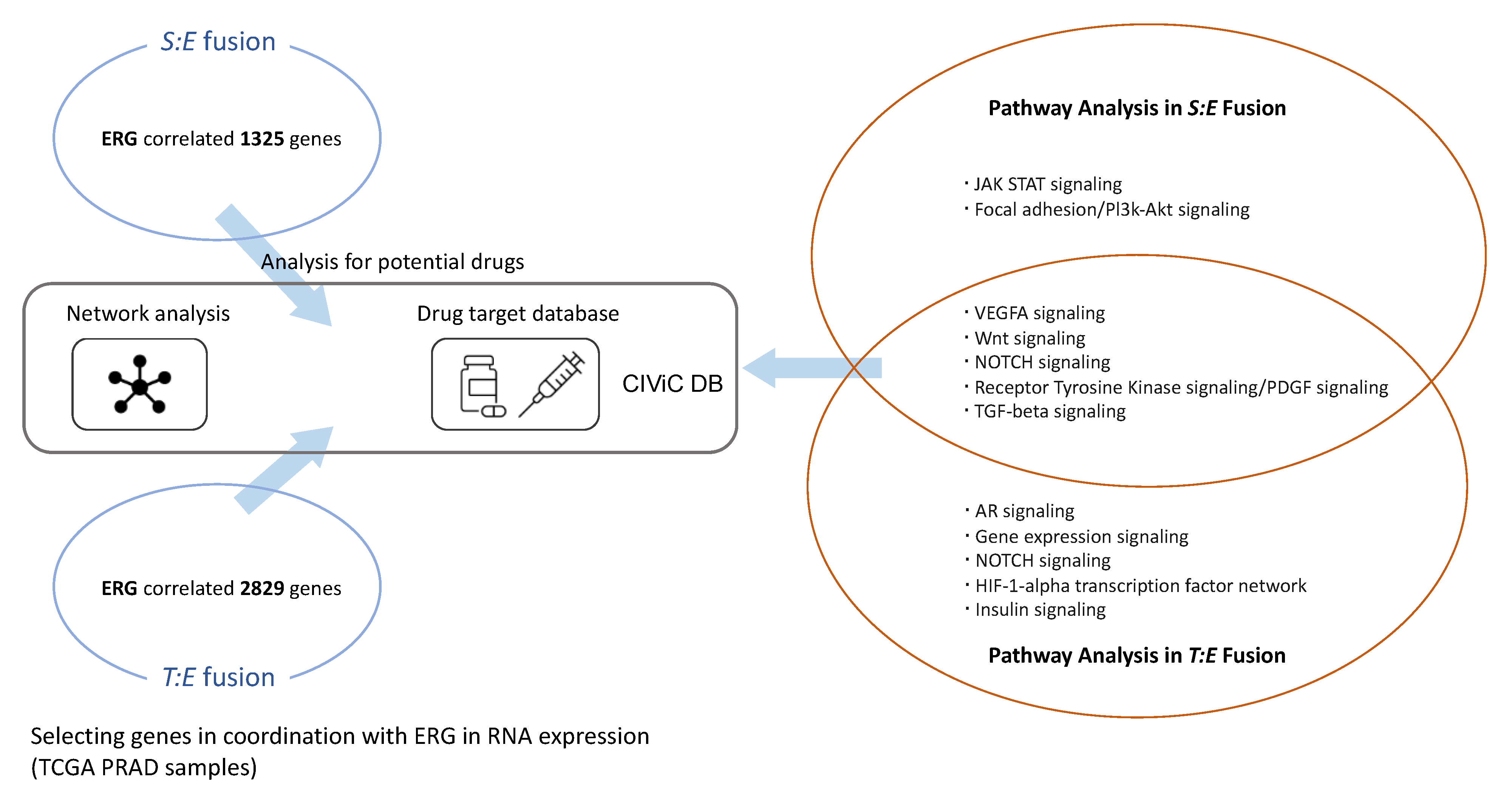 Jpm 12 01818 g001 Jpm 12 01818 g001