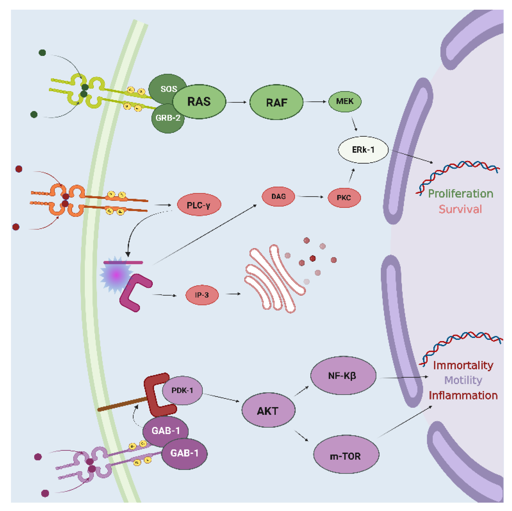 Jpm 12 01819 g003 Jpm 12 01819 g003