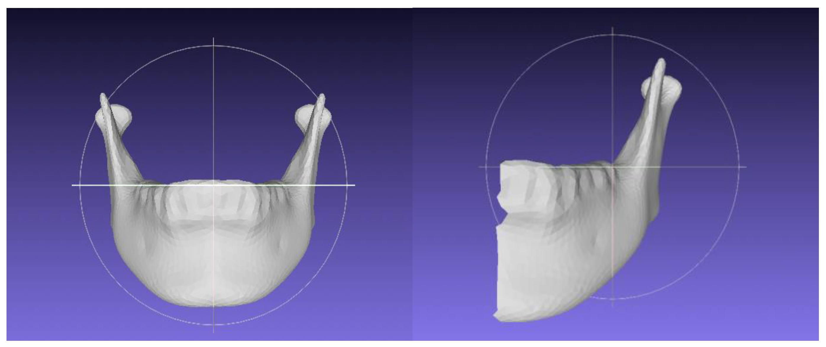 Jpm 12 01831 g001 Jpm 12 01831 g001