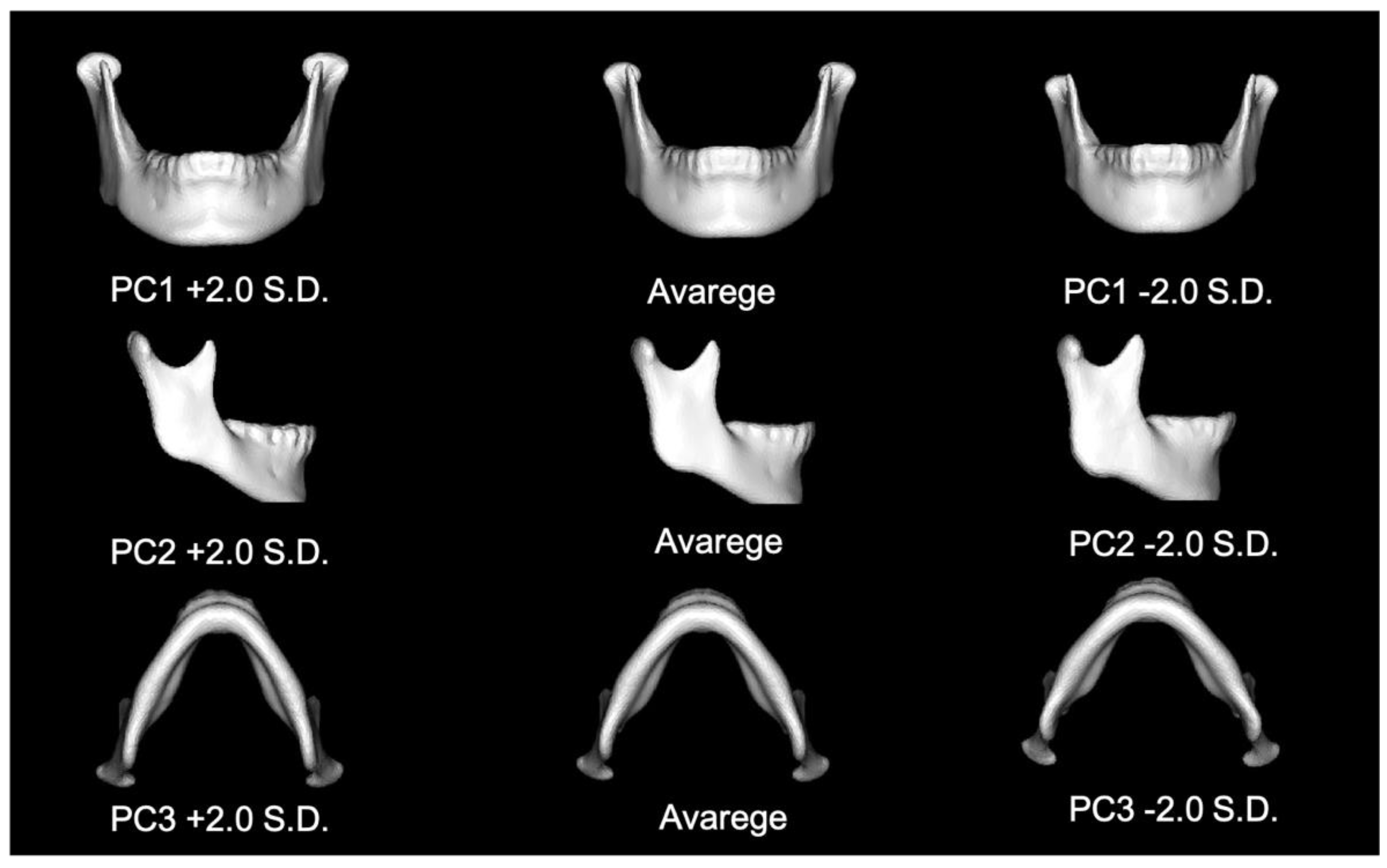Jpm 12 01831 g002 Jpm 12 01831 g002