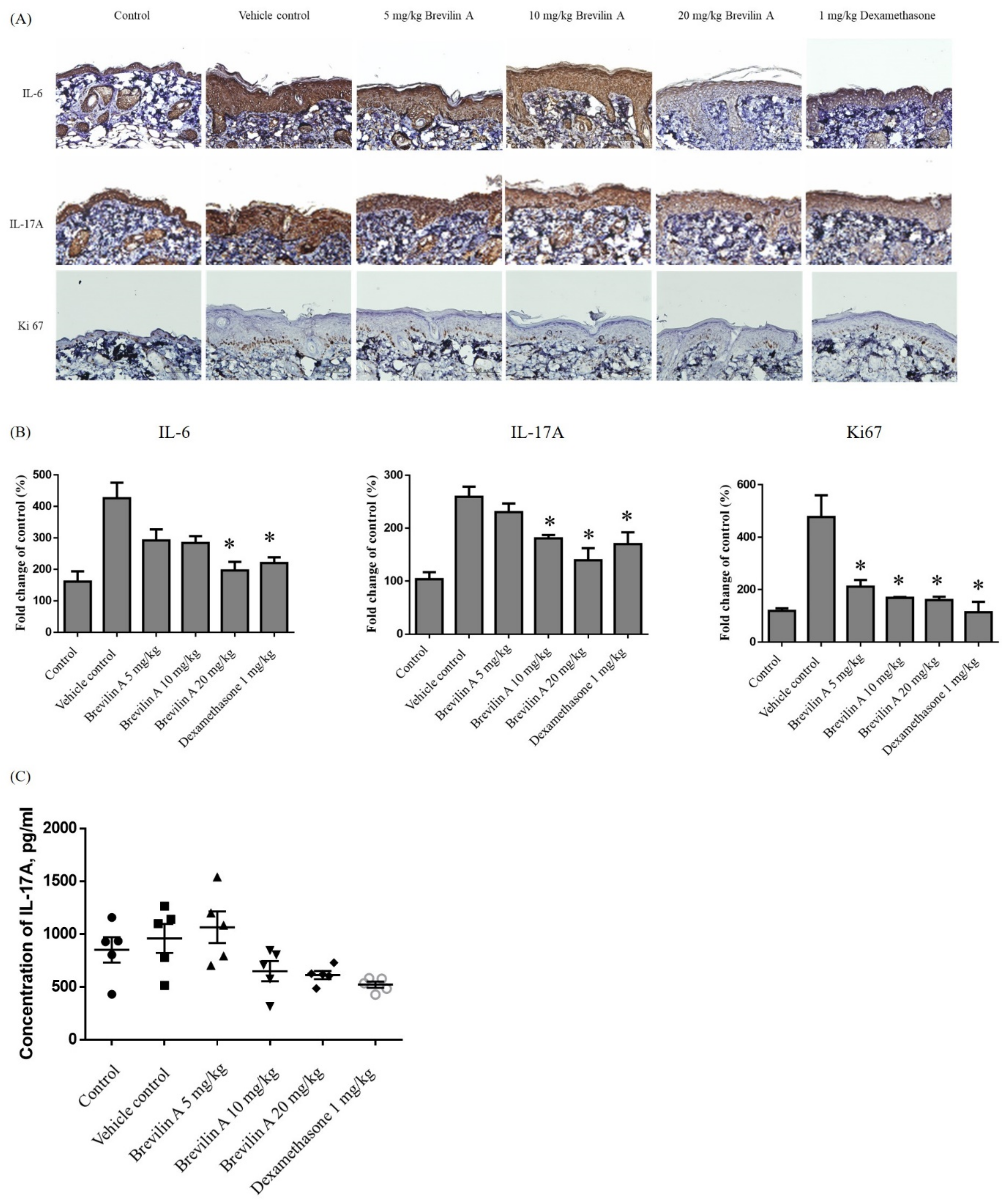 Jpm 12 01888 g002 Jpm 12 01888 g002