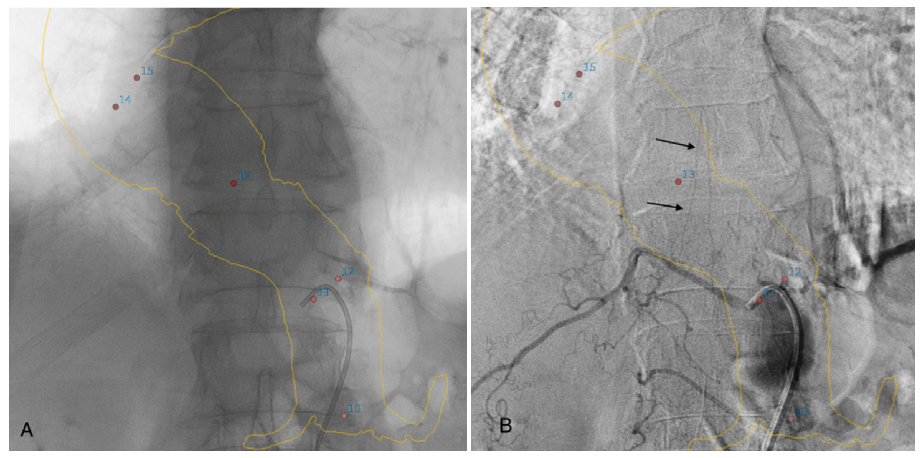 Jpm 12 01890 g003 Jpm 12 01890 g003