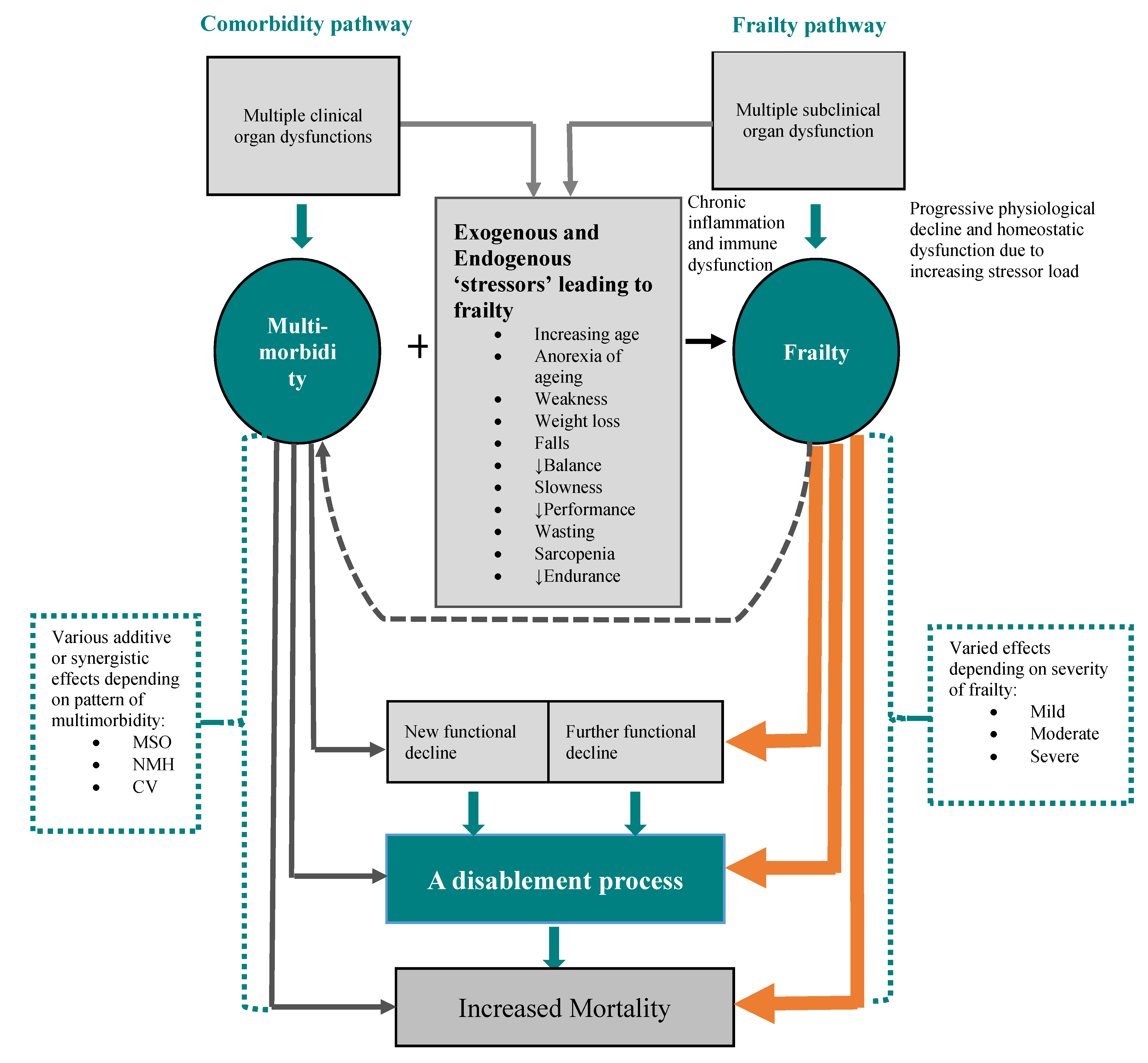 jpm-free-full-text-multimorbidity-frailty-and-diabetes-in-older