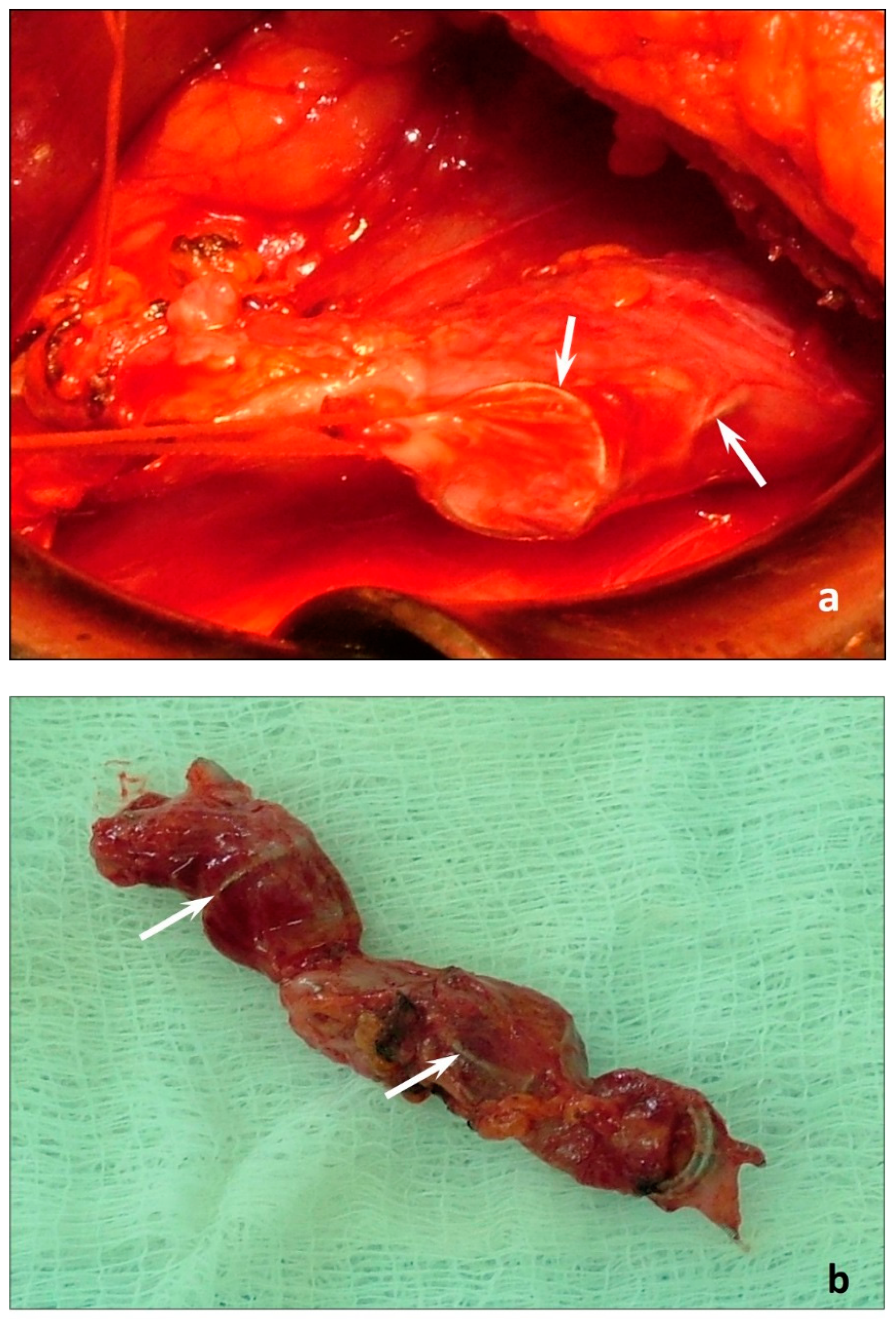 Jpm 12 01933 g002 Jpm 12 01933 g002