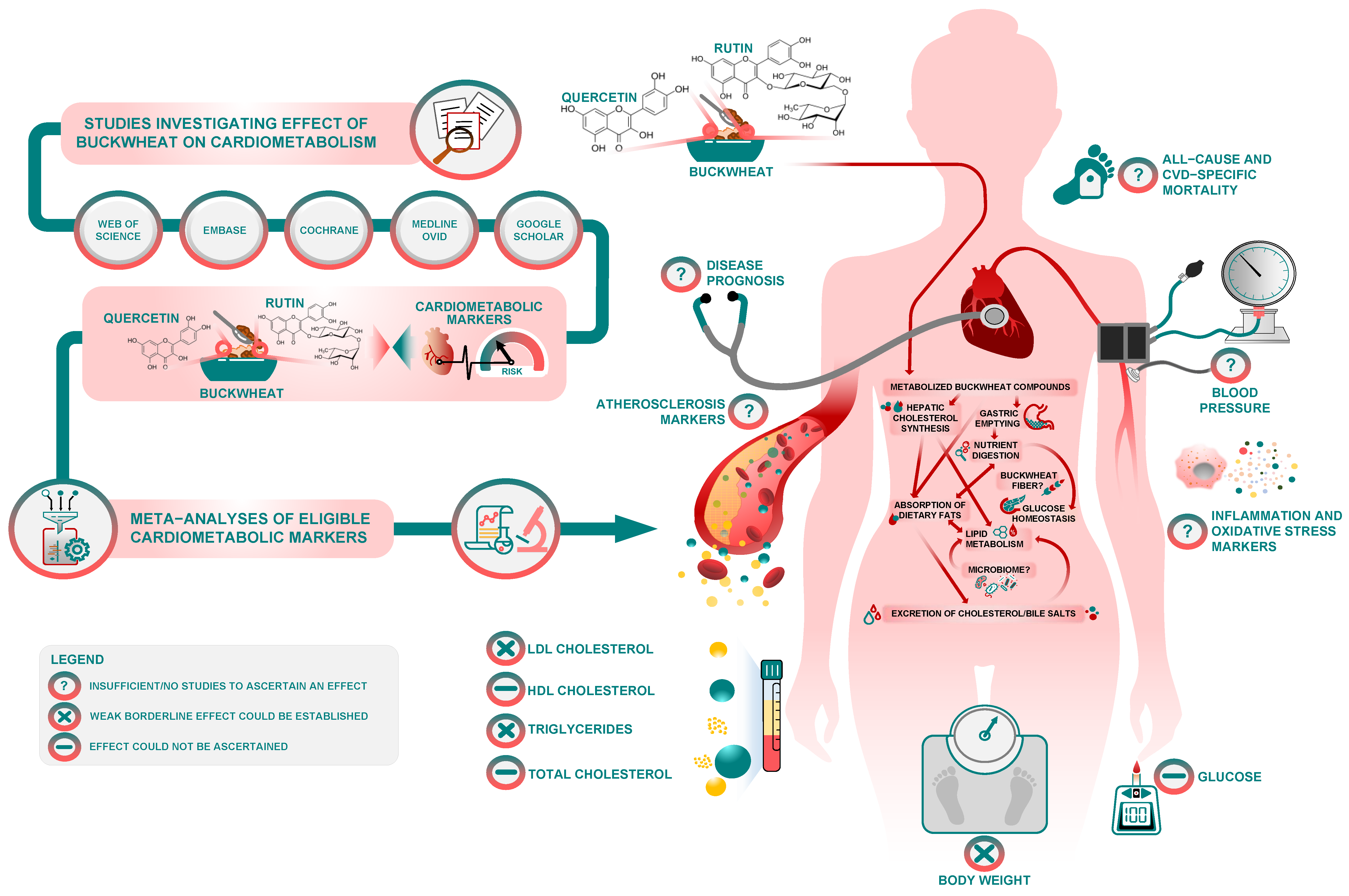 Jpm 12 01940 g008 Jpm 12 01940 g008