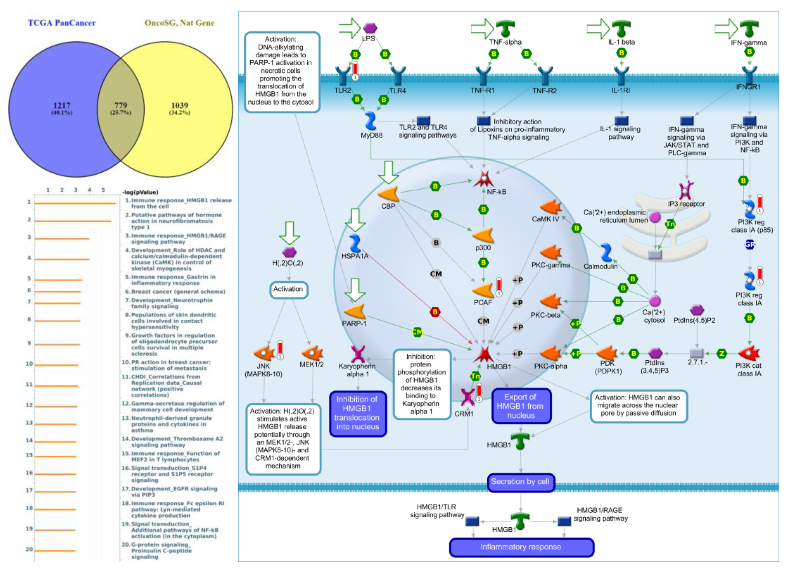 Jpm 12 01947 g010 Jpm 12 01947 g010