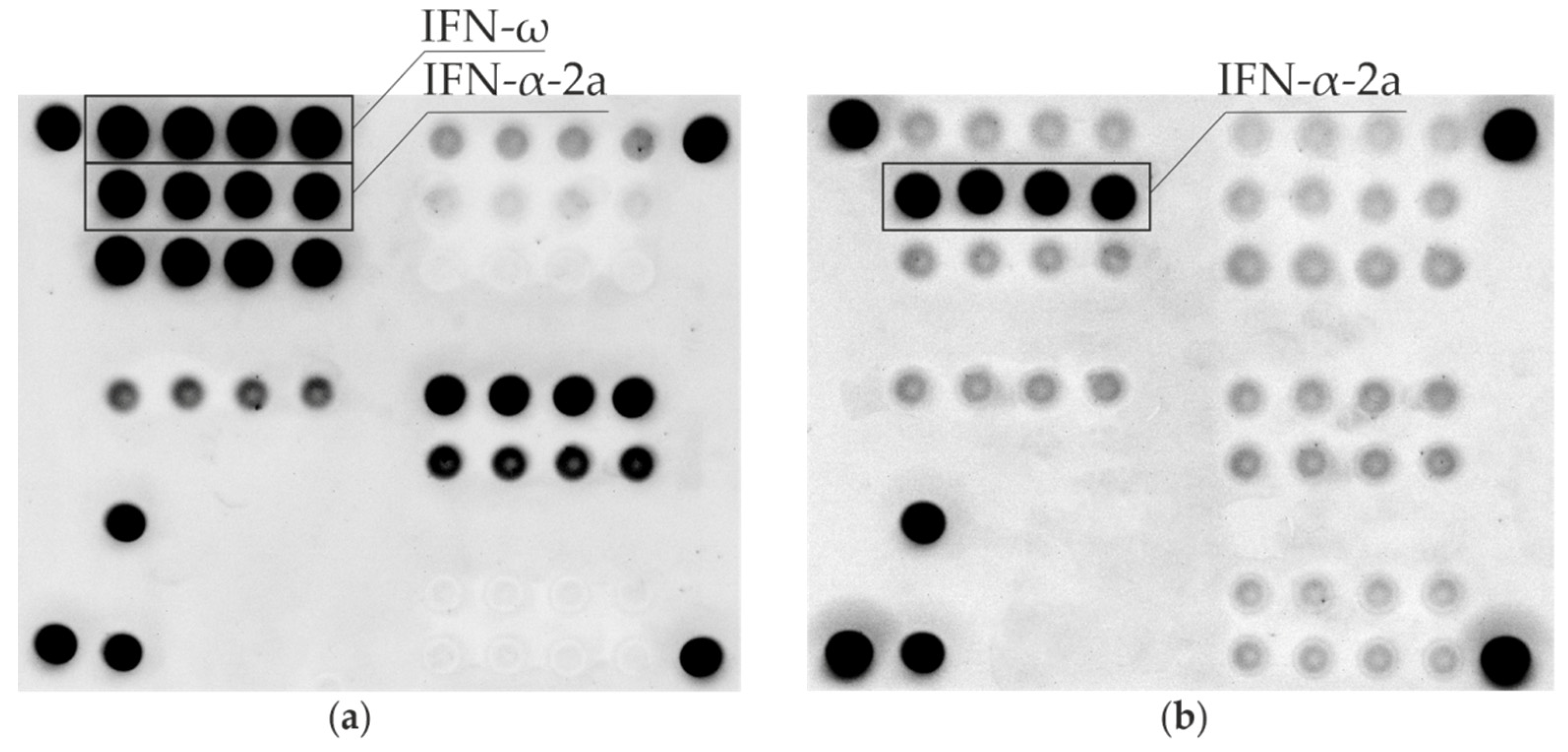 Jpm 12 01948 g001 Jpm 12 01948 g001