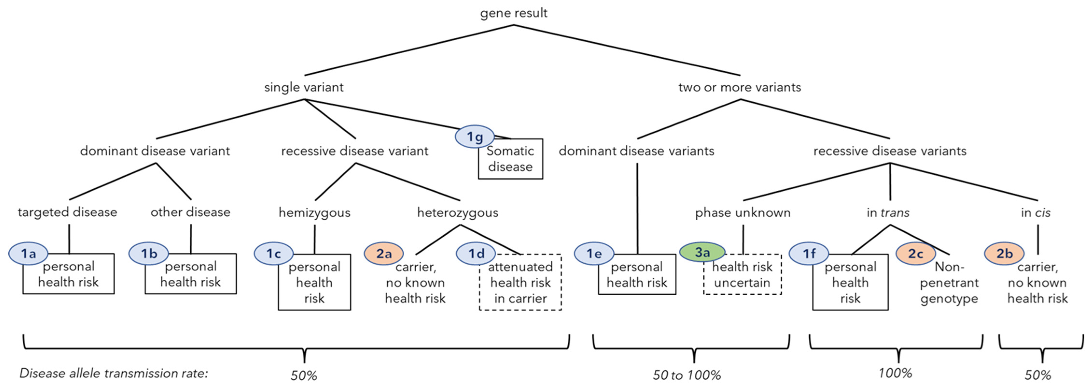 Jpm 12 01962 g001 Jpm 12 01962 g001