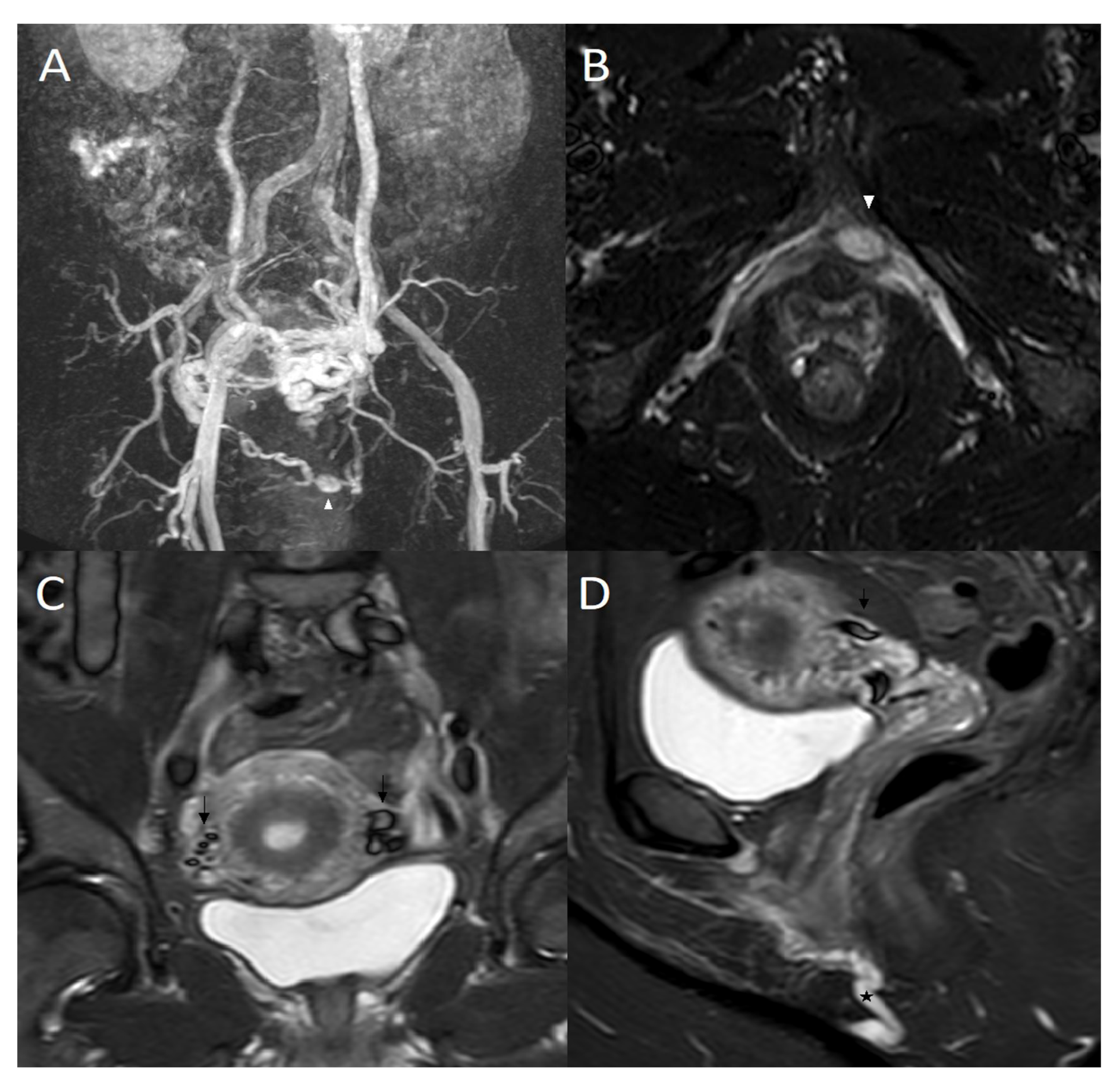 Jpm 12 02055 g002 Jpm 12 02055 g002