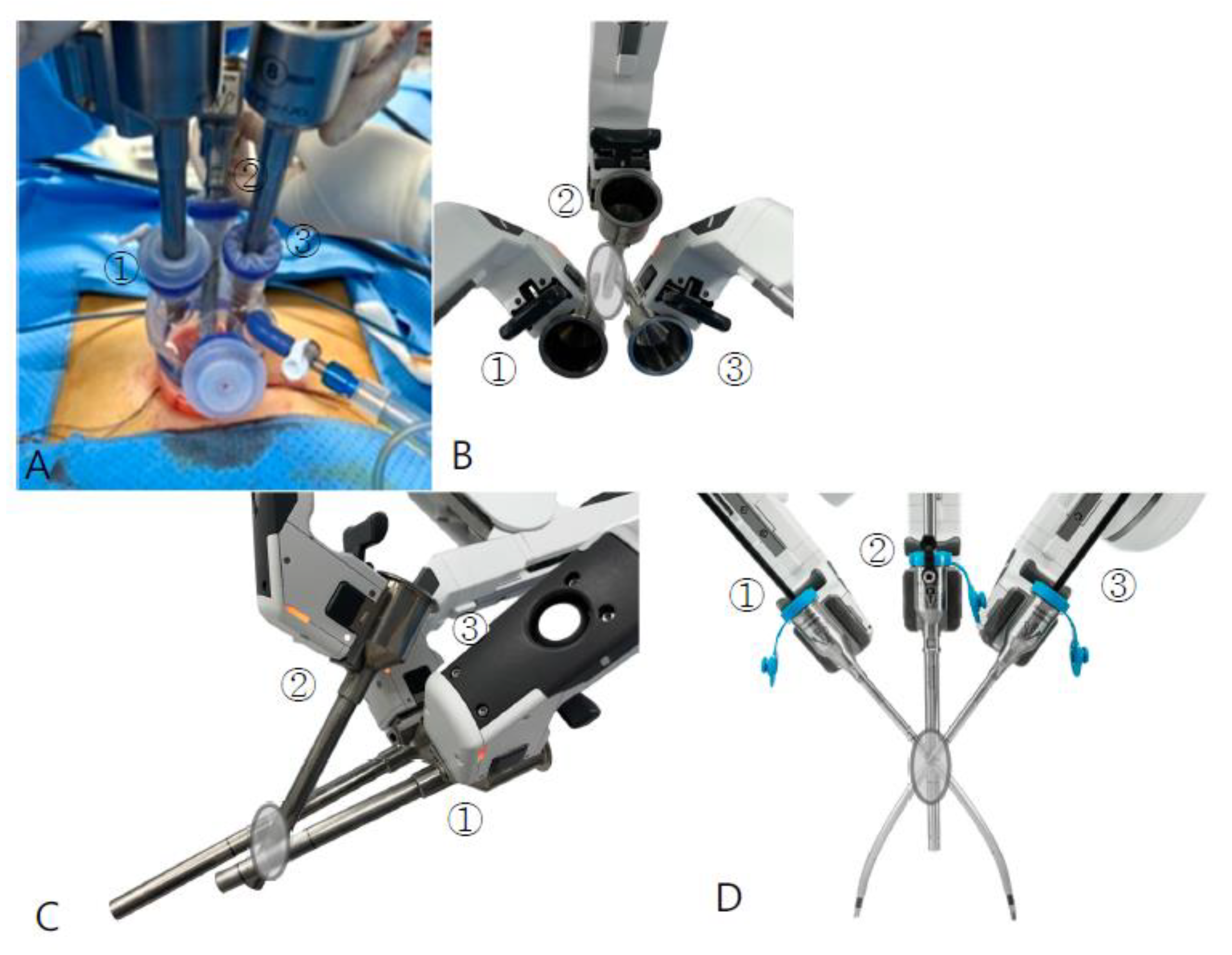 Jpm 13 00017 g001 Jpm 13 00017 g001