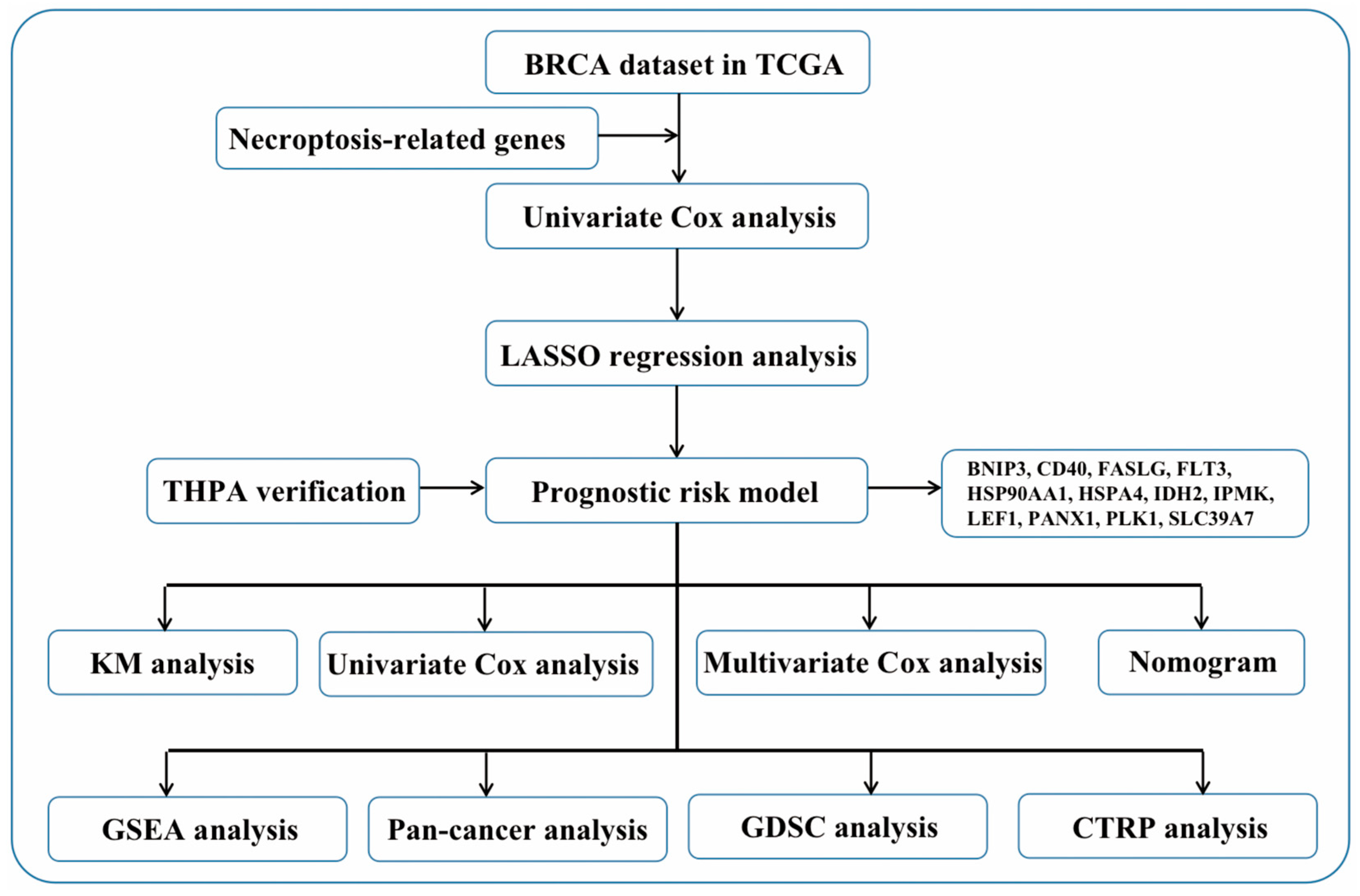 Jpm 13 00044 g001 Jpm 13 00044 g001