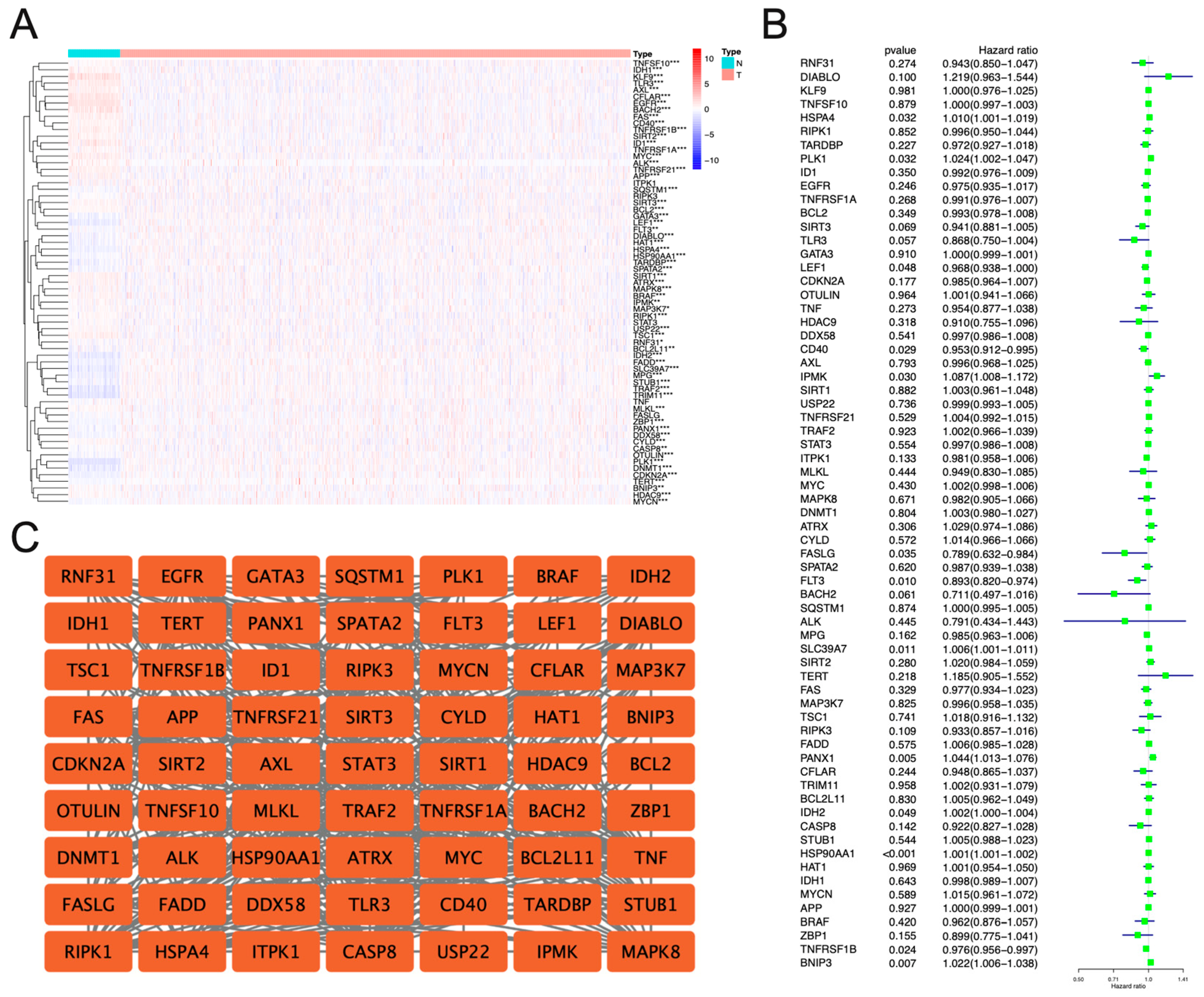 Jpm 13 00044 g002 Jpm 13 00044 g002